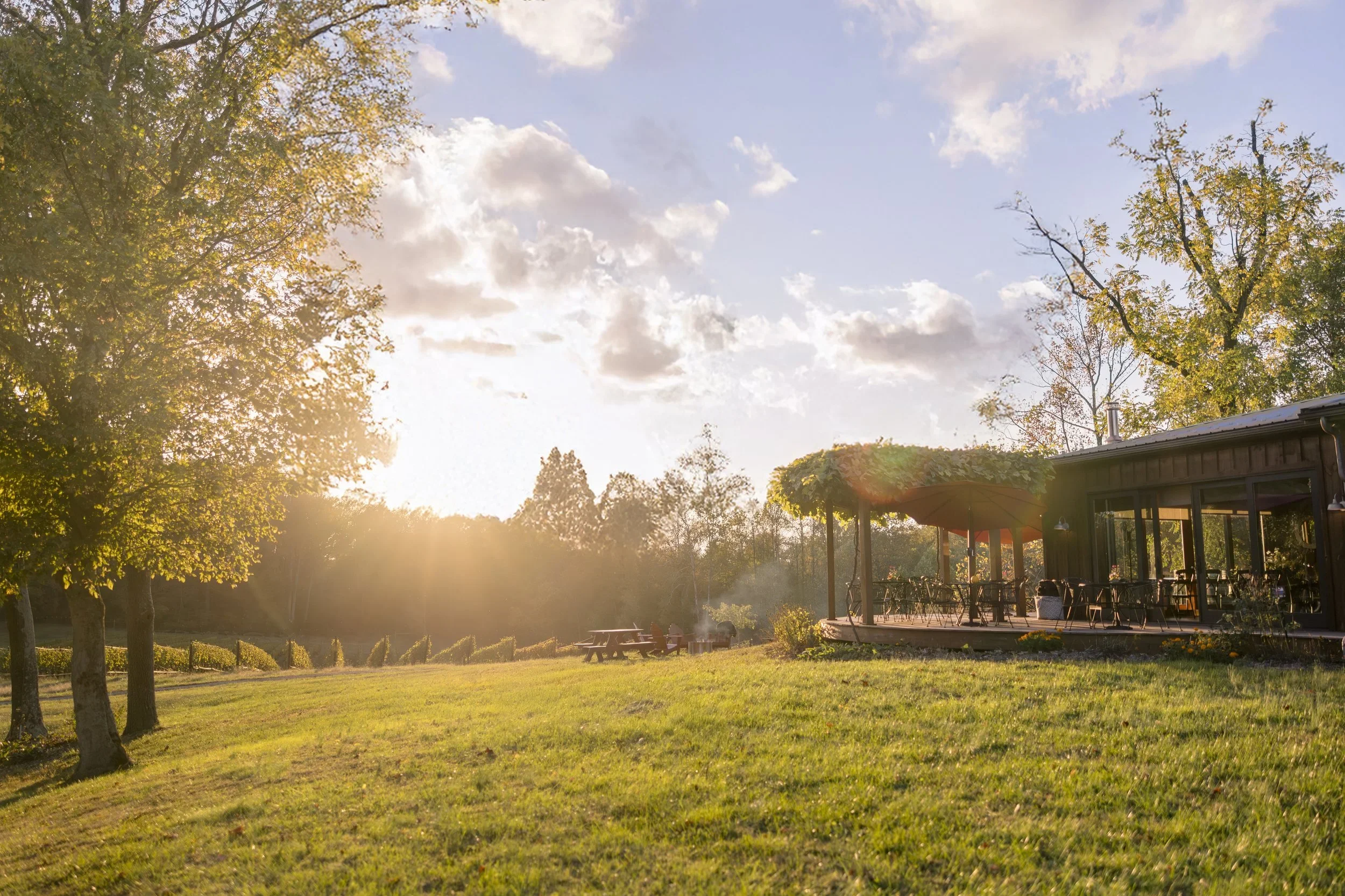 Dodon Vineyards tasting room and vineyard in the sunlight