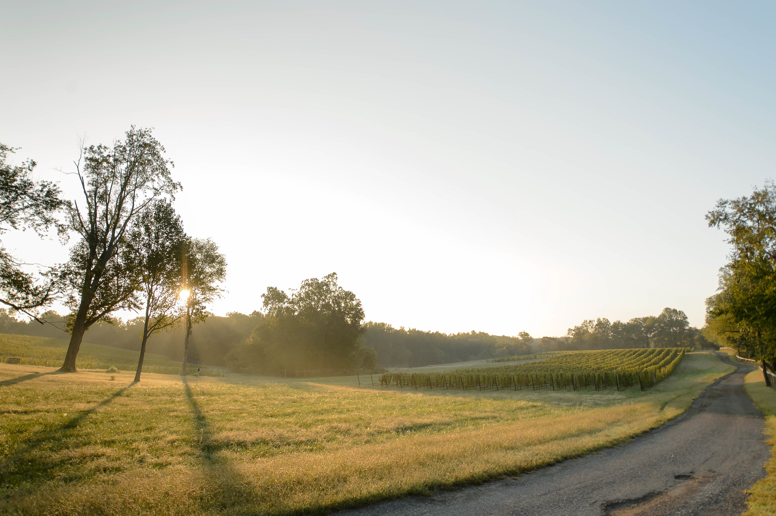   ...on a 555 acre historic family property.  