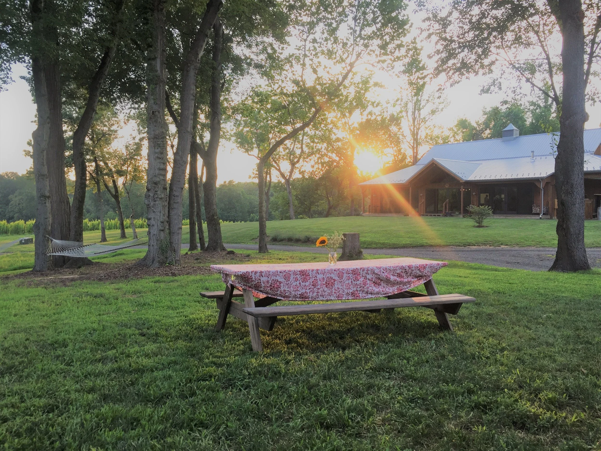 PICNIC TABLE.jpg