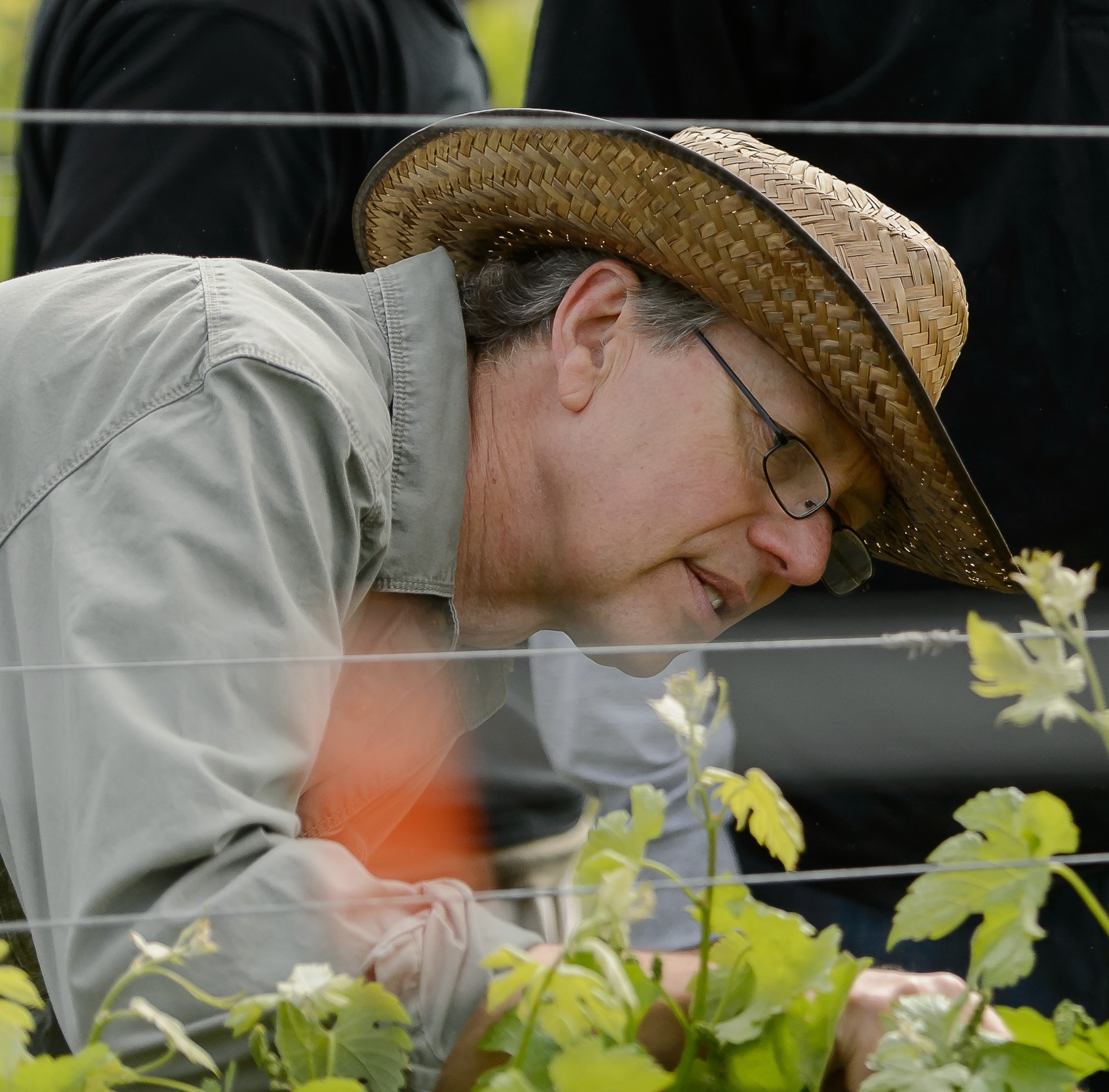 Tom Croghan, co-owner and winemaker