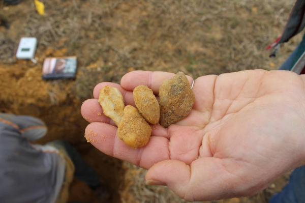 quartz river rock.jpeg