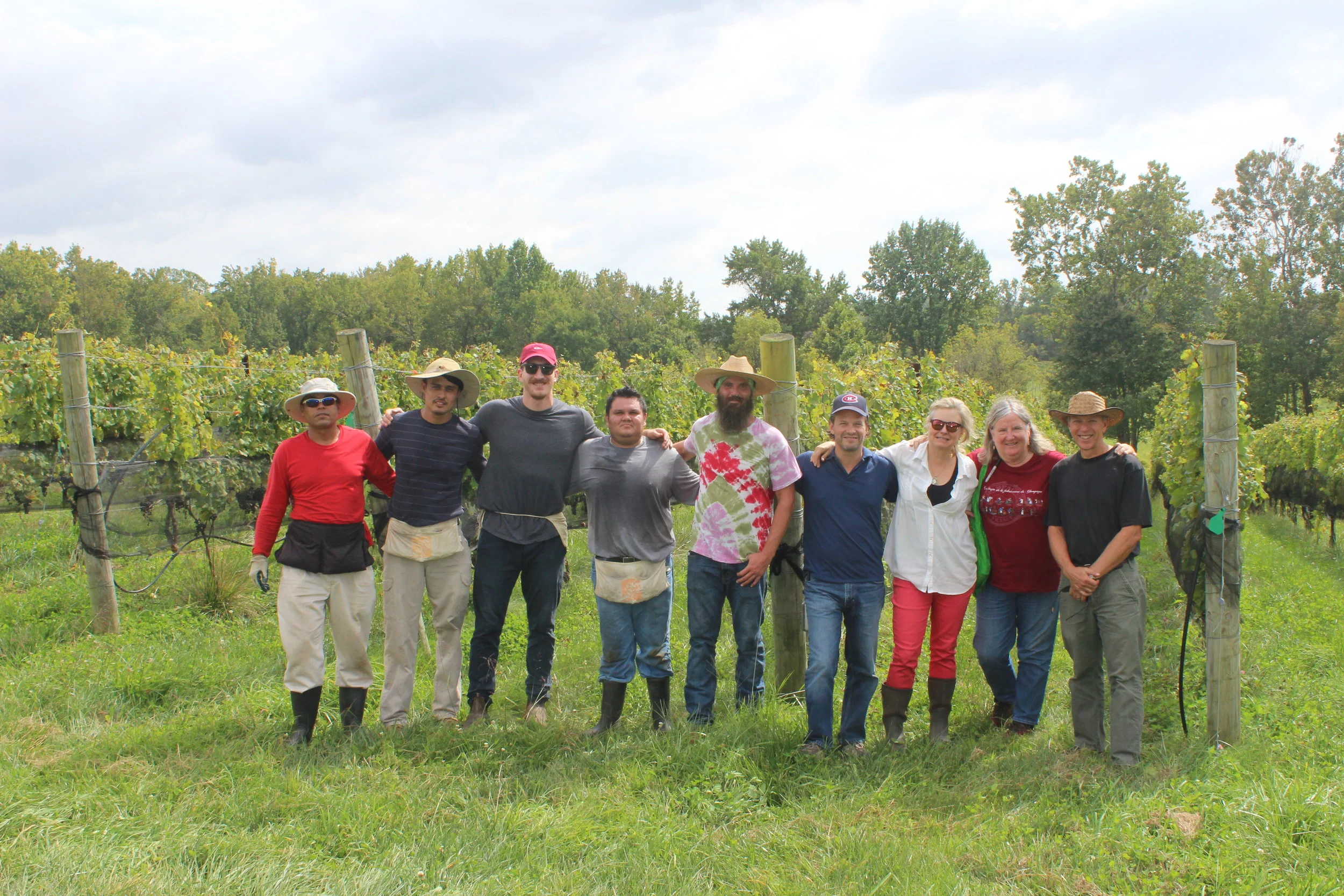 2017 Vintage Summary: A Year of Providence