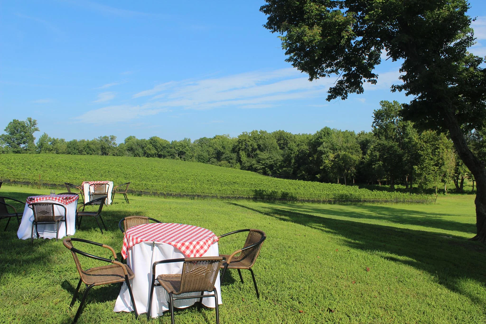 Dodon 'til Dusk - Summer Sundays from 5-8 pm Dodon 'til Dusk is a Club Member only recurring event at which we gather at the pavilion for a casual picnic dinner each Sunday from 5-8 pm from May – September. Click here for details.