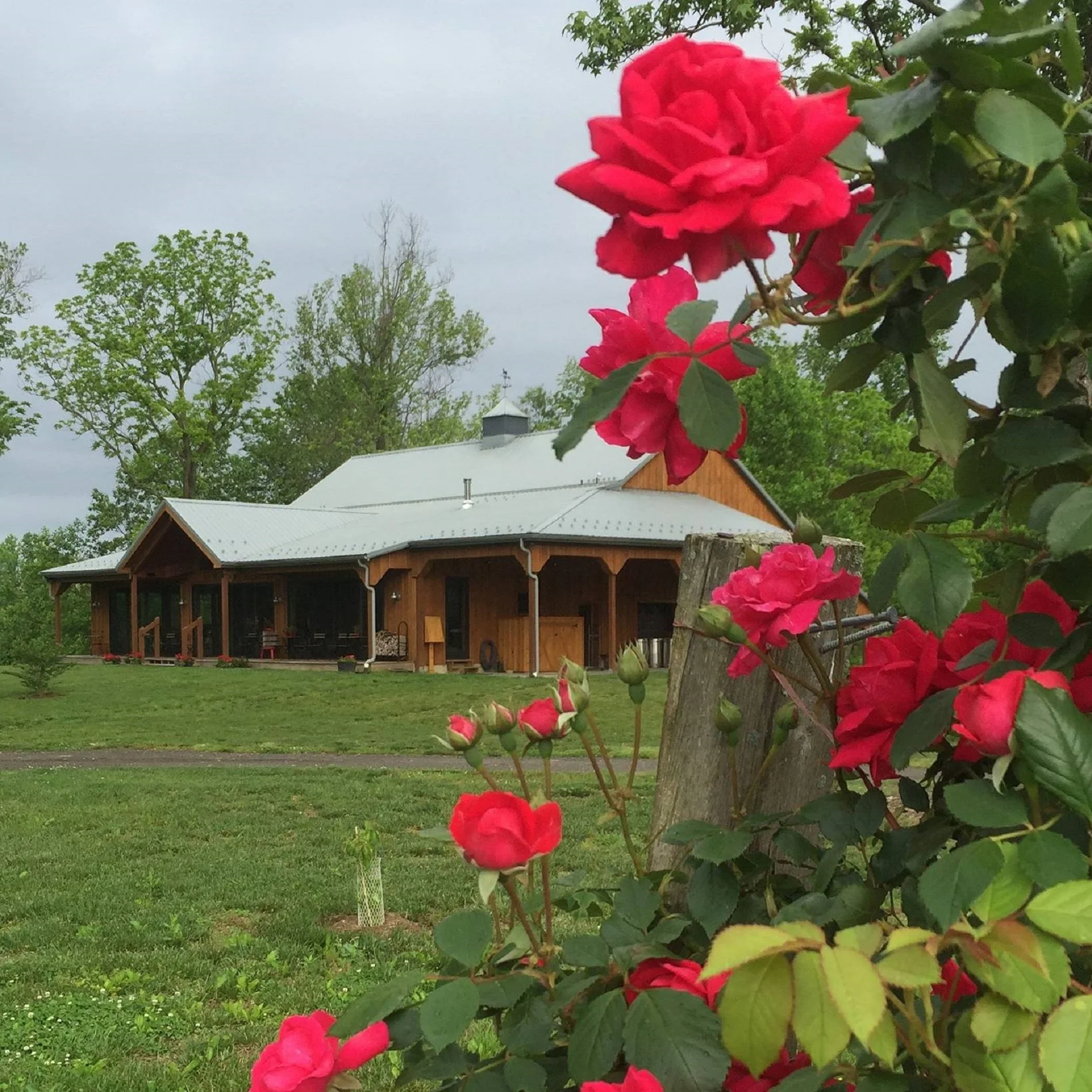 Wine Club Allocations - Next Up: Nov 3 The fall 2018 Wine Club allocation will be available on Saturday, November 3rd. Join us between 1 - 5 pm to pick up the new allocation, taste new vintages, and meet fellow members of the Dodon Wine Club. Learn more about the club here.