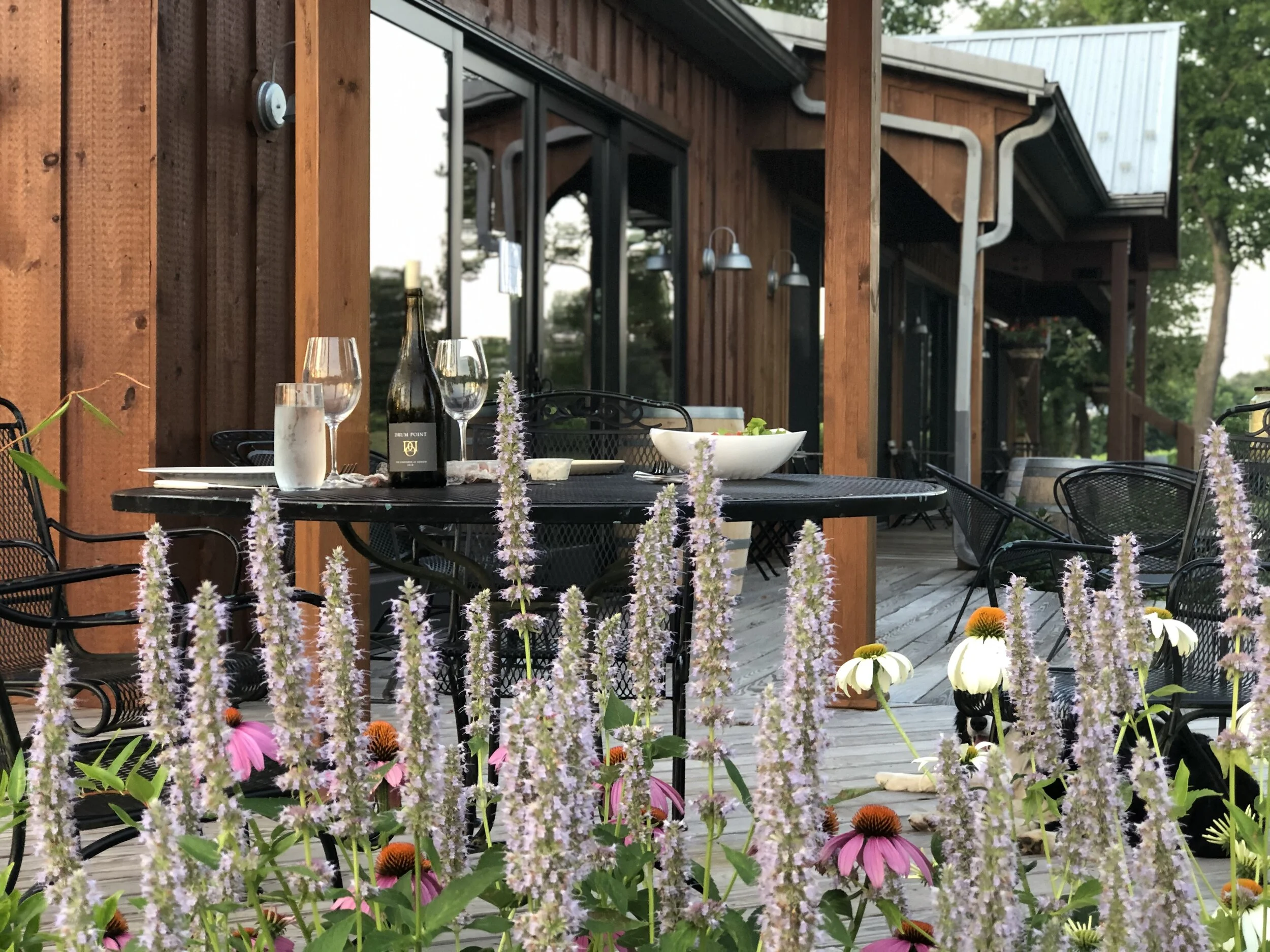Dodon's deck tables surrounded by local pollinators.