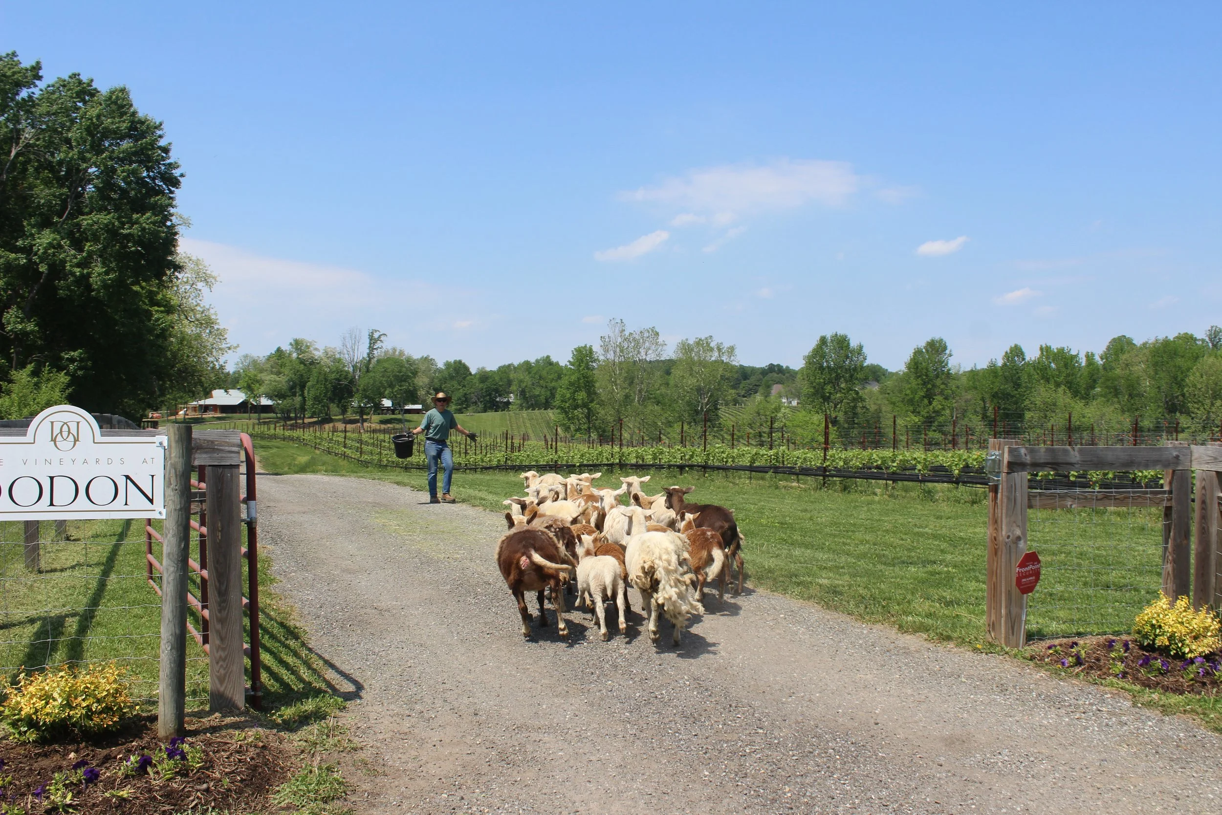 Farming in Service of Nature