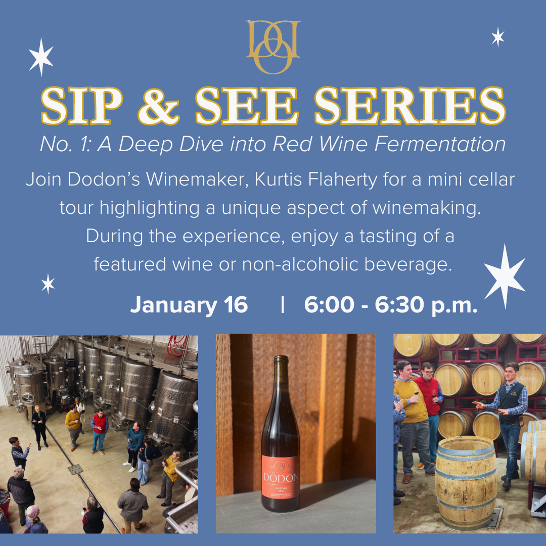 Save the Date: Sip &amp; See Series No. 1: Rhizome &amp; A Deep Dive into Red Wine Fermentation