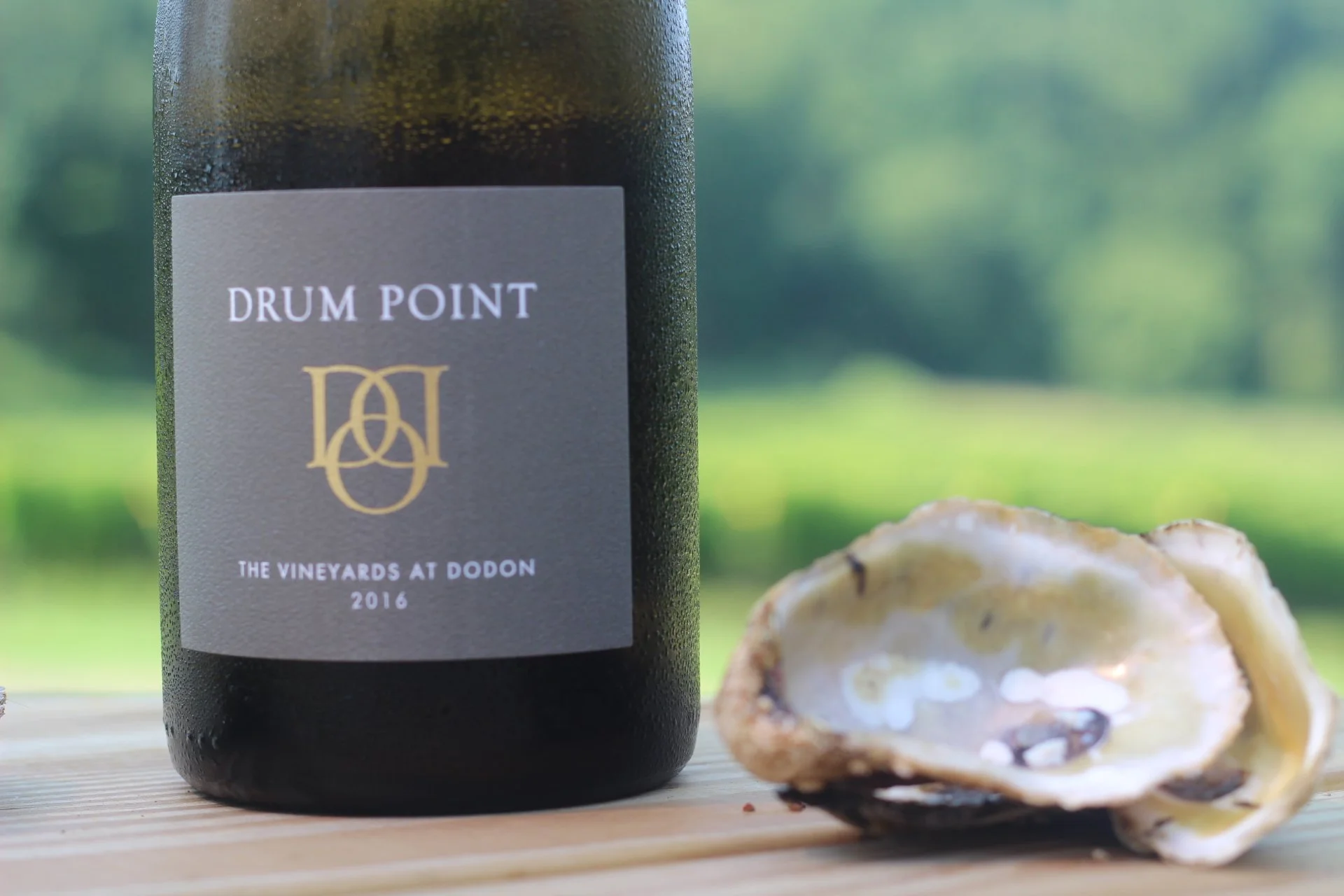 In Service of the Bay: A Panel Discussion on Farming Oysters and Wine 