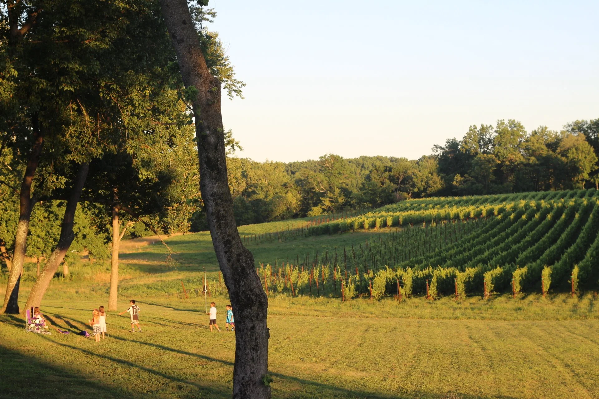 Save the Date! Pre-Harvest Sip & See