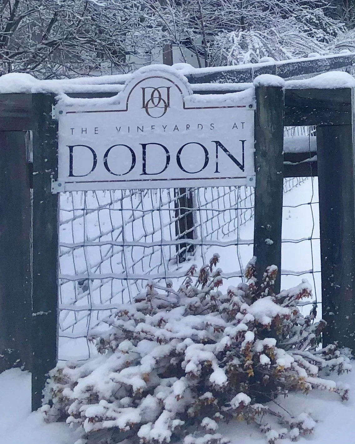 Dodon SIgn.jpg