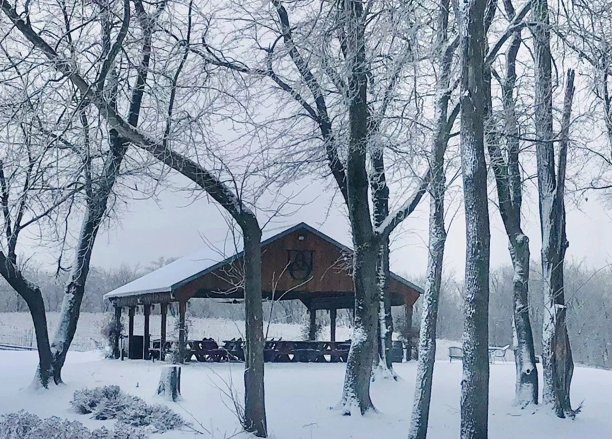 Pavilion.jpg