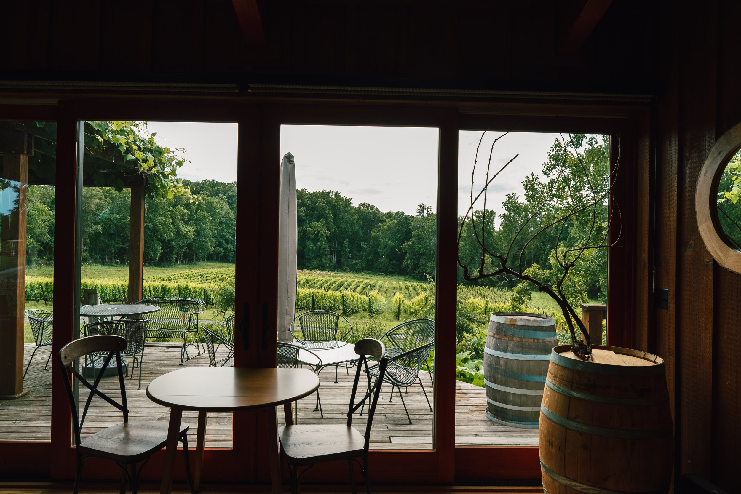 View from Dodon Vineyard's tasting room to the estate vineyard.