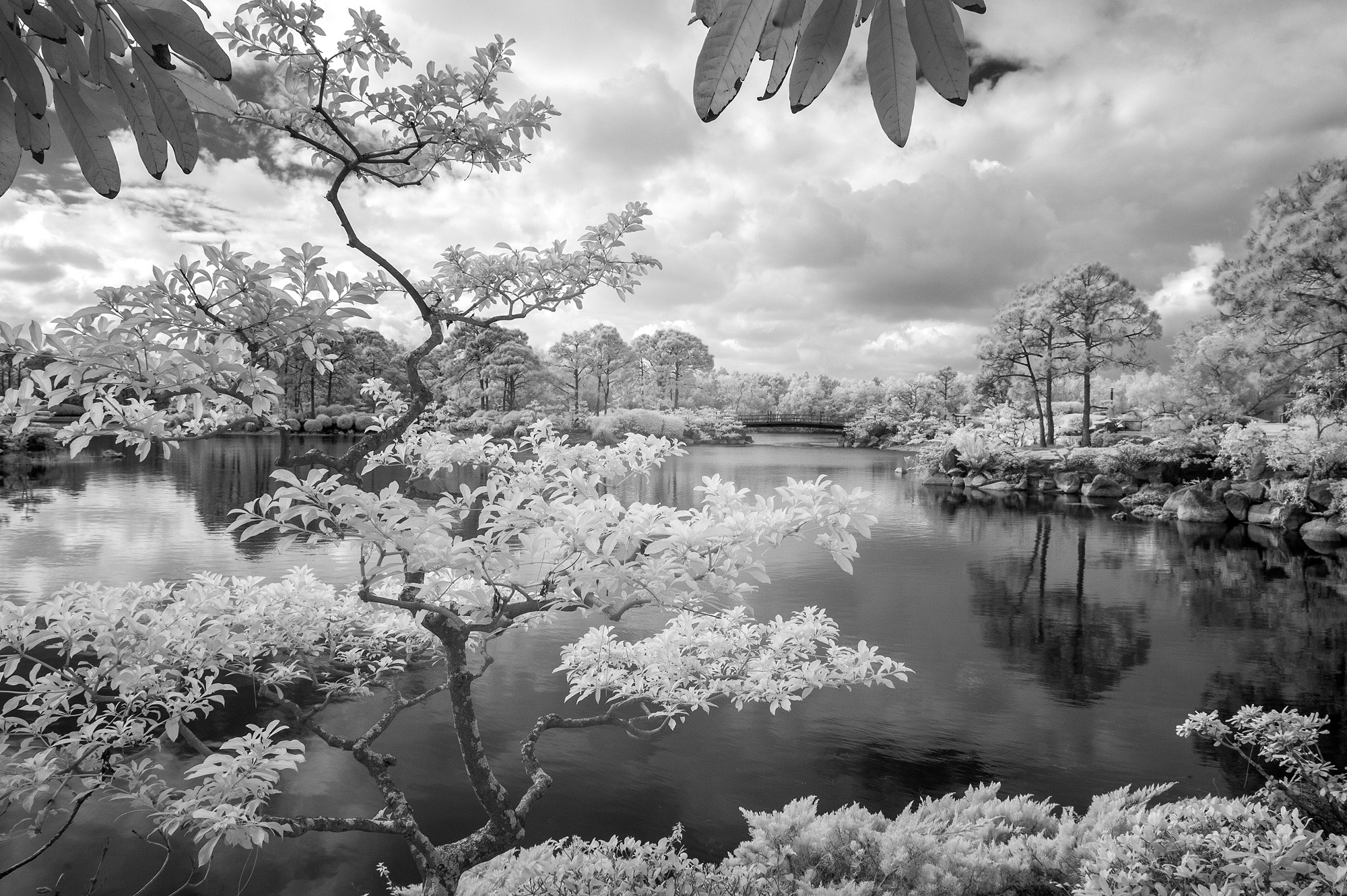 Morikami Gardens, Delray FL