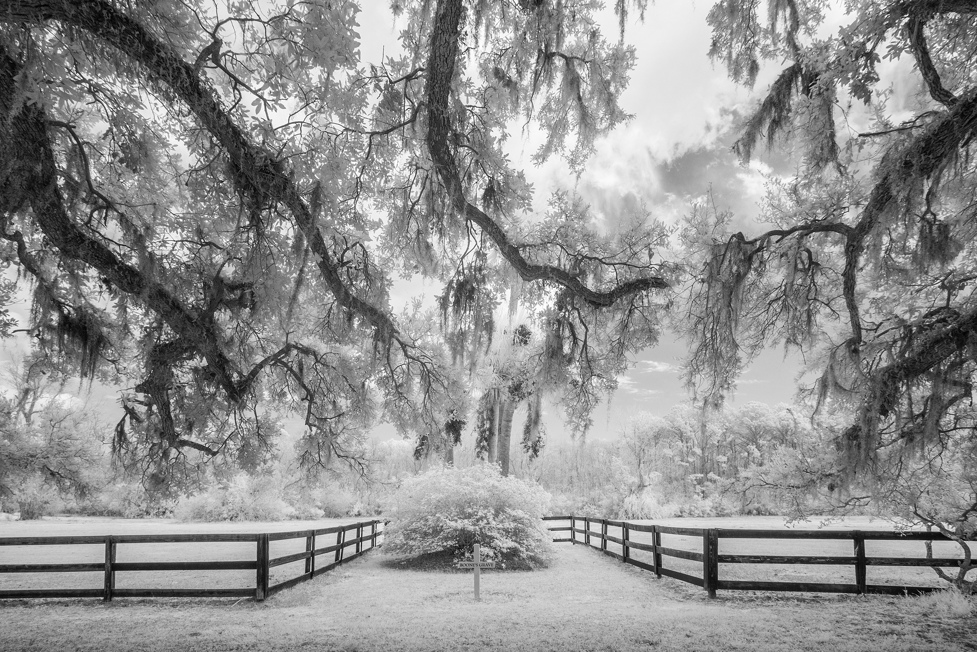 Boone Hall Plantation SC