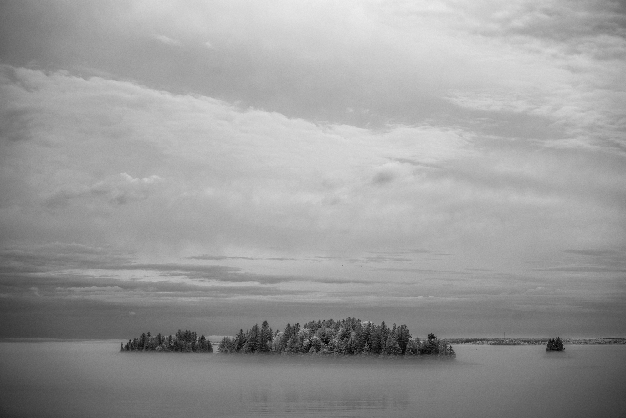 Hatchet Cove fog