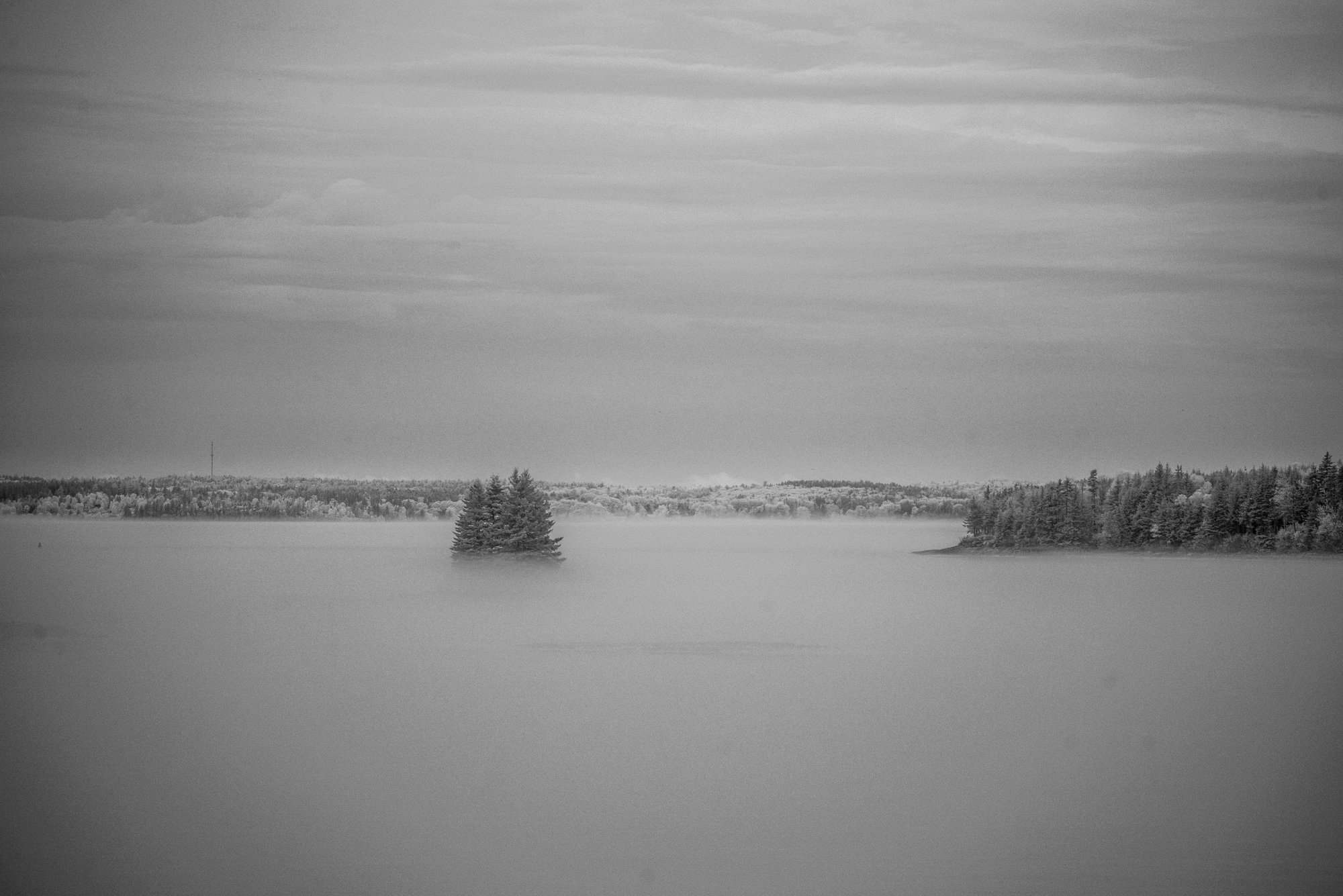 Hatchet Cove fog