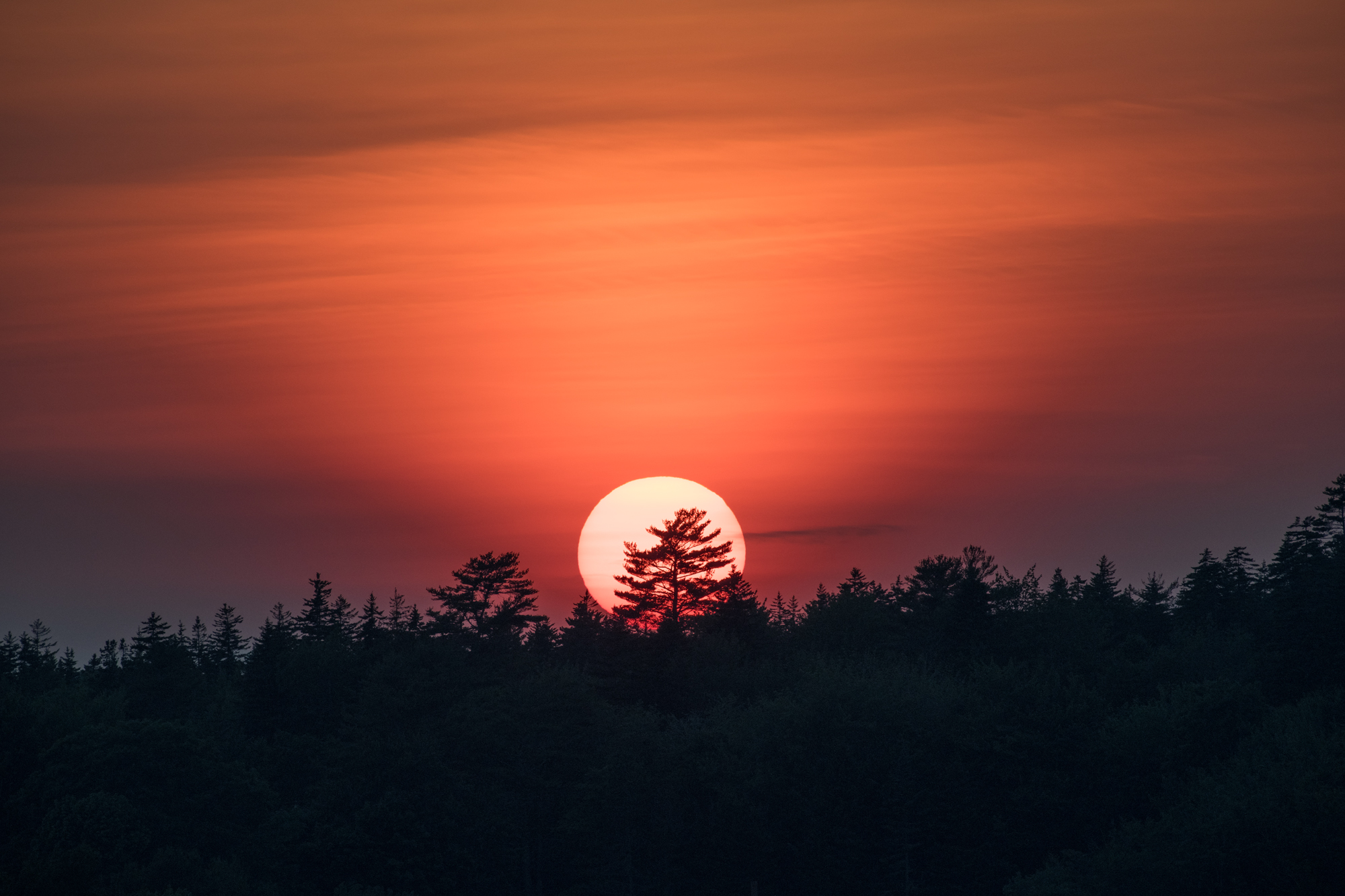 sun sets over Martin Point