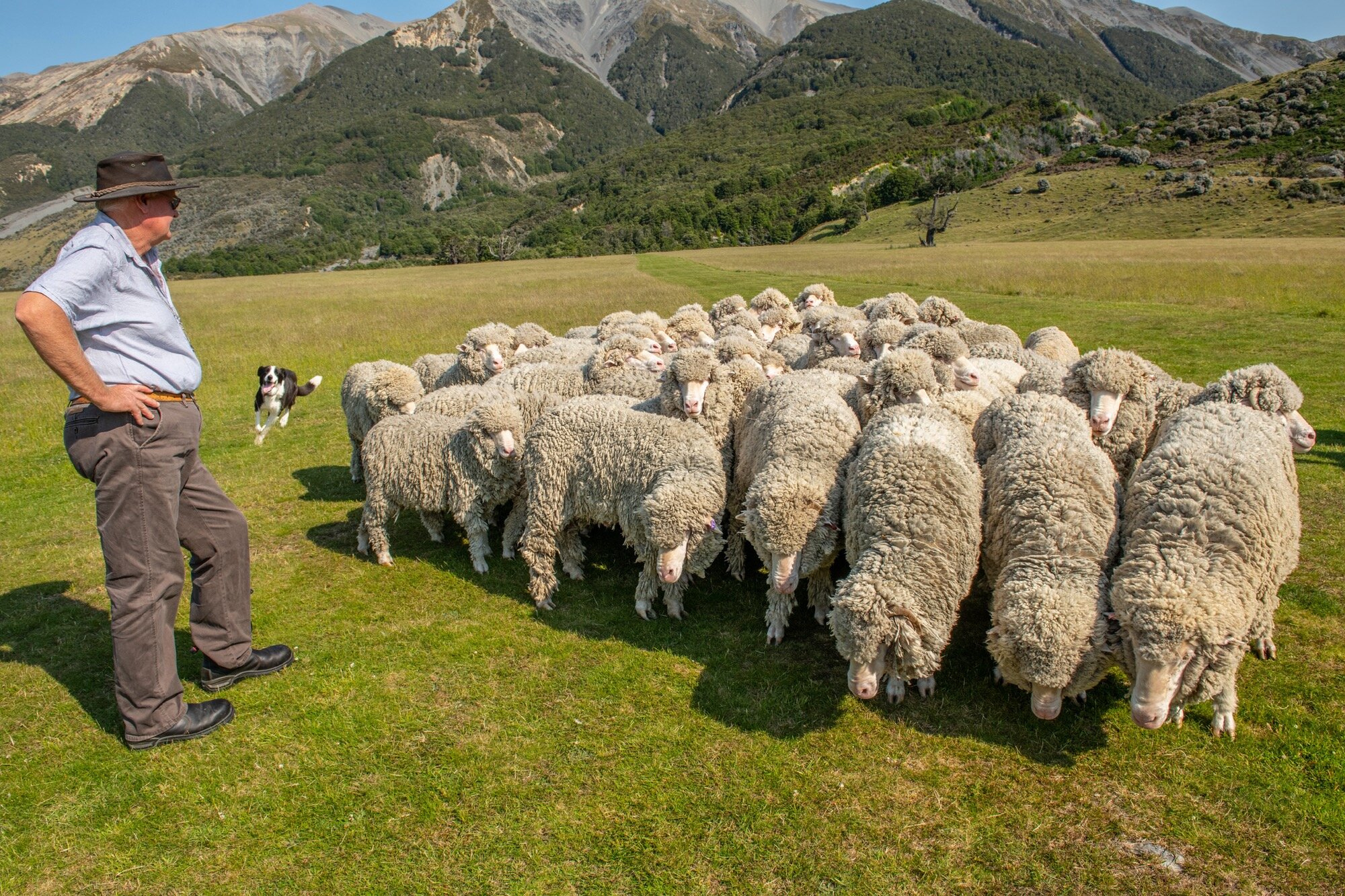 Wilderness Lodge, Arthur's Pass NZ