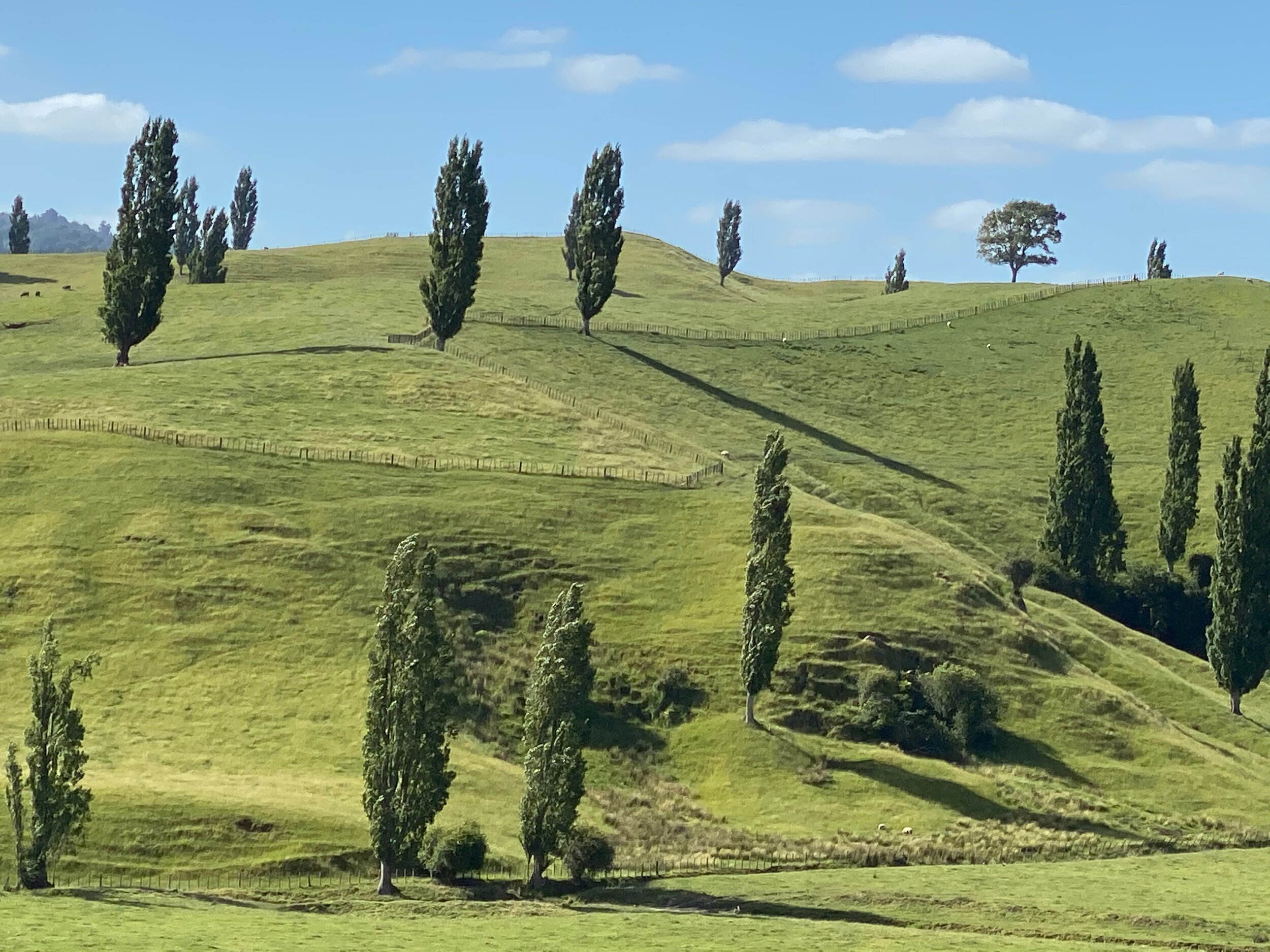 Hobbiton, Matamata NZ