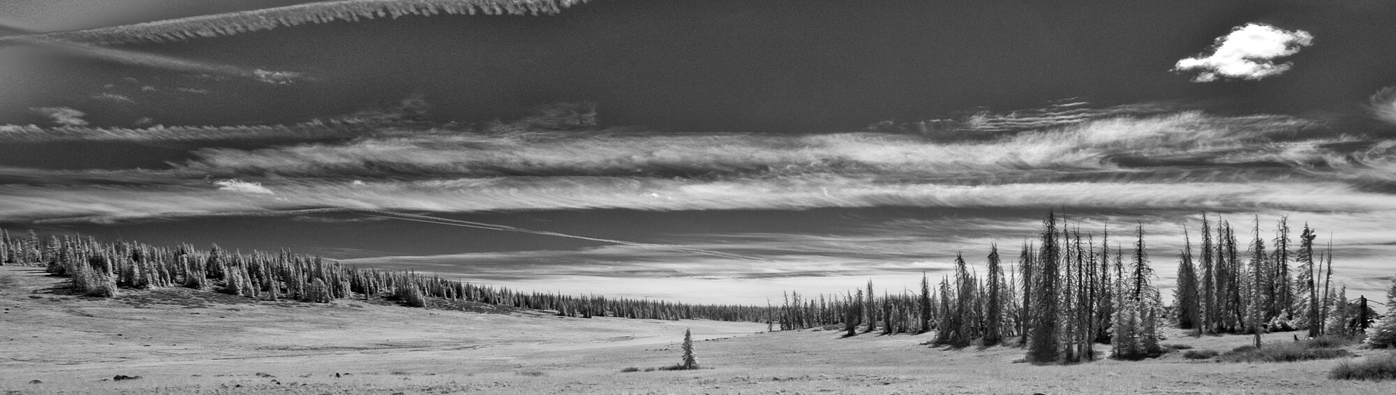 Cedar Breaks panorama.jpg