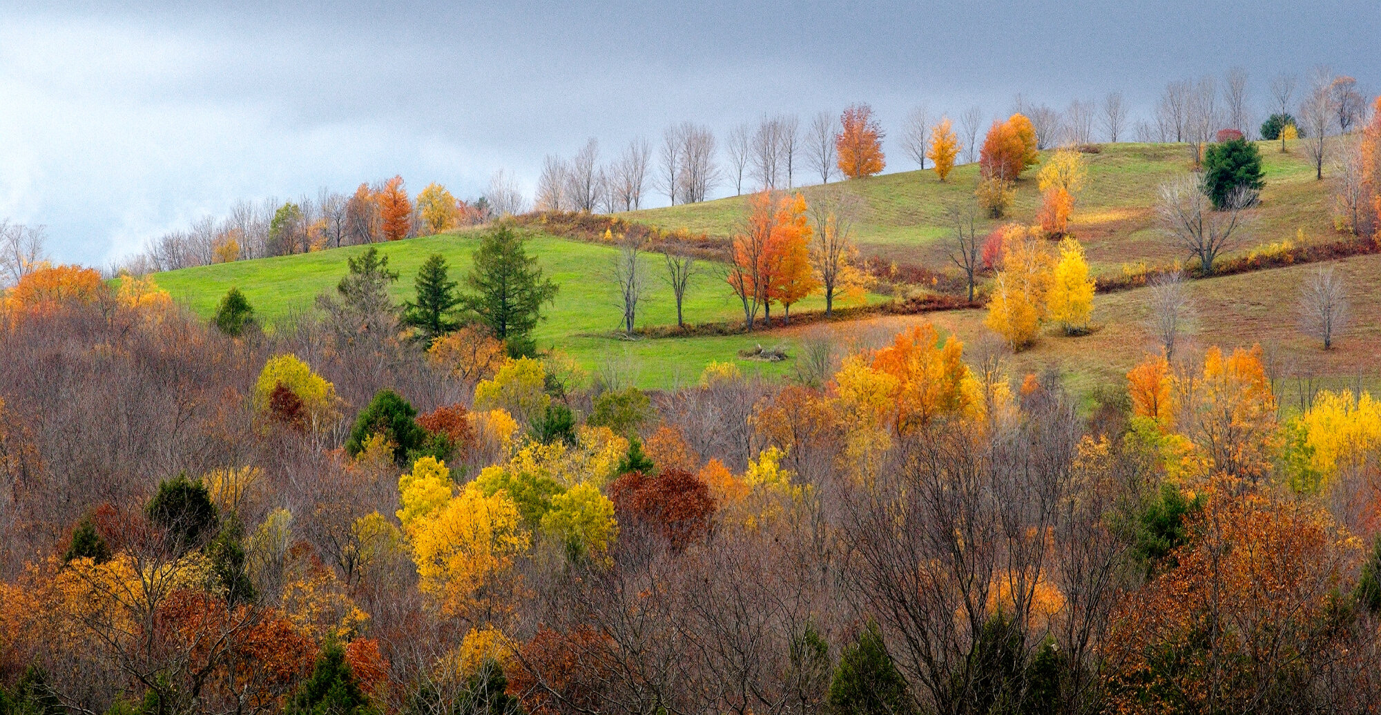 W MA green ridge foliage.jpg