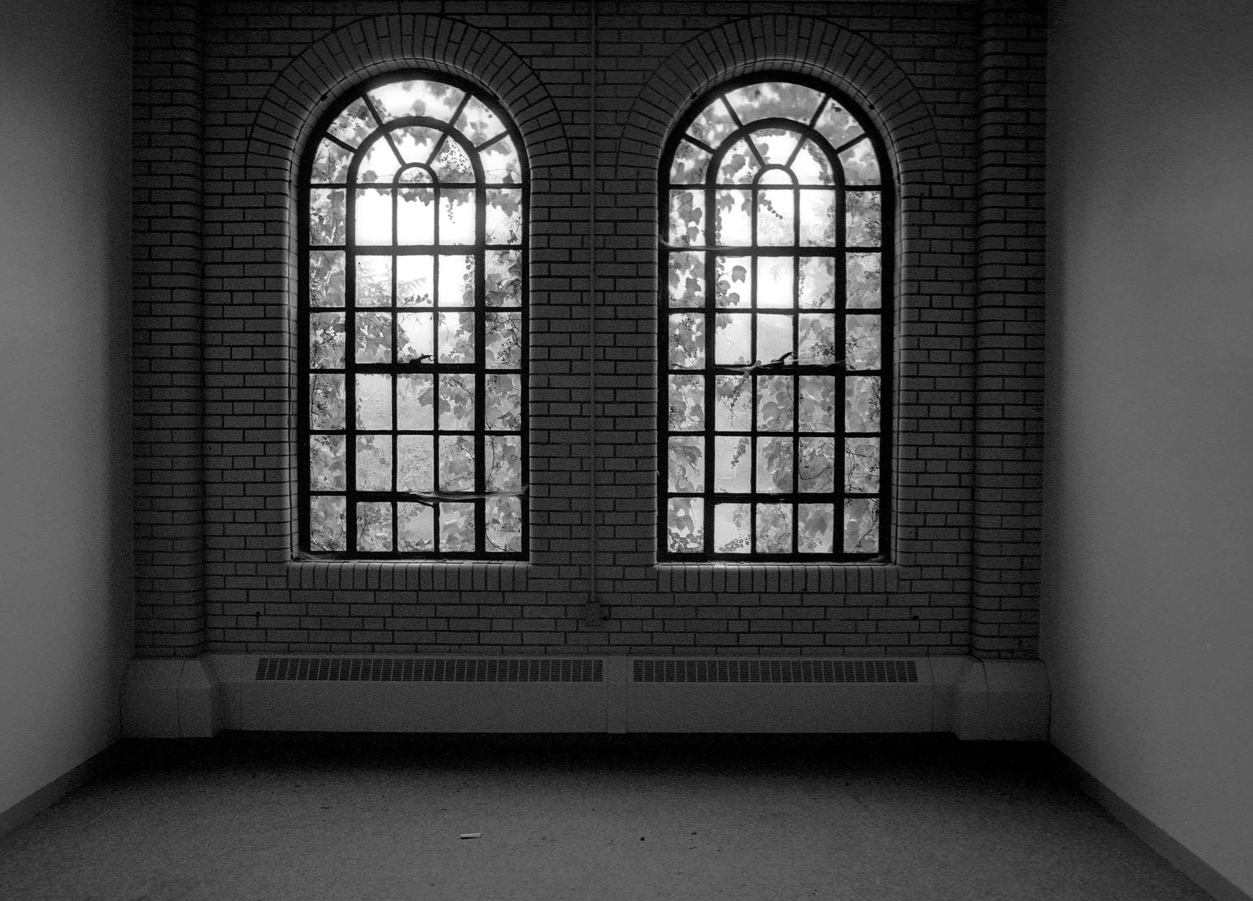 2 vined windows.jpeg