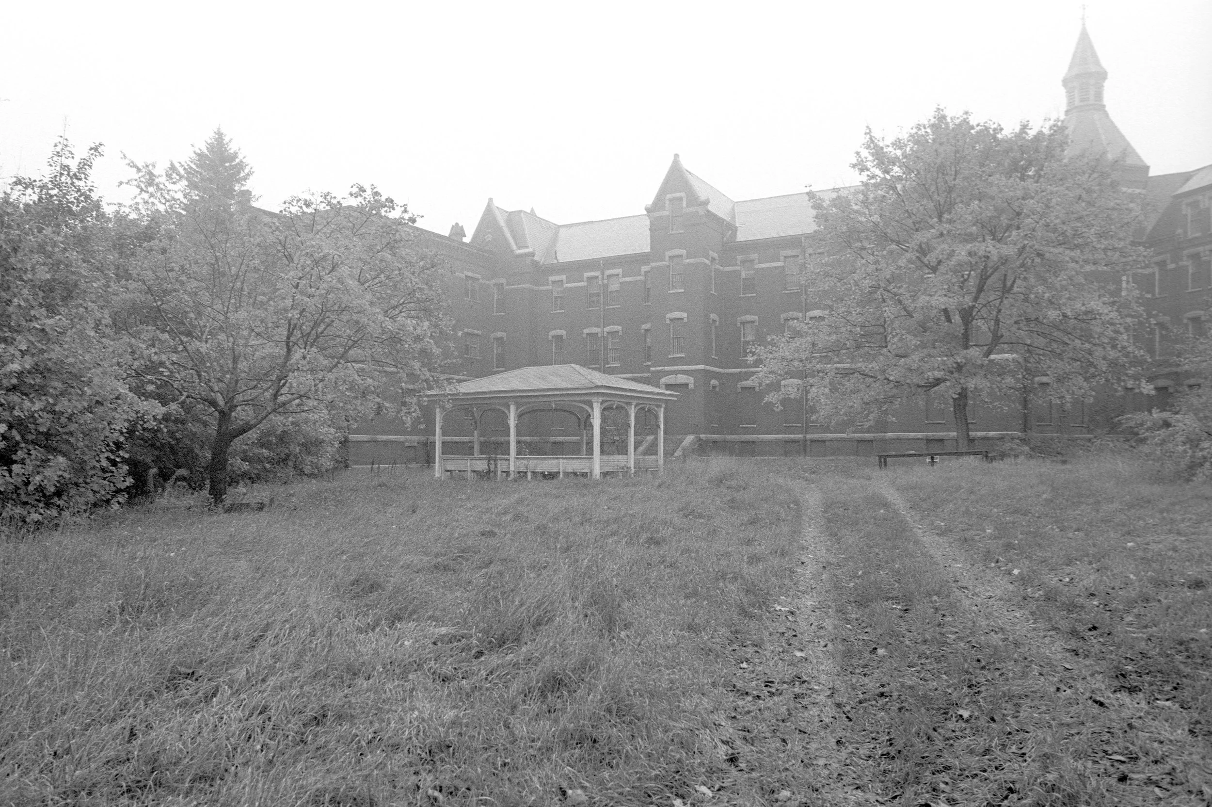 foggy gazebo.jpeg