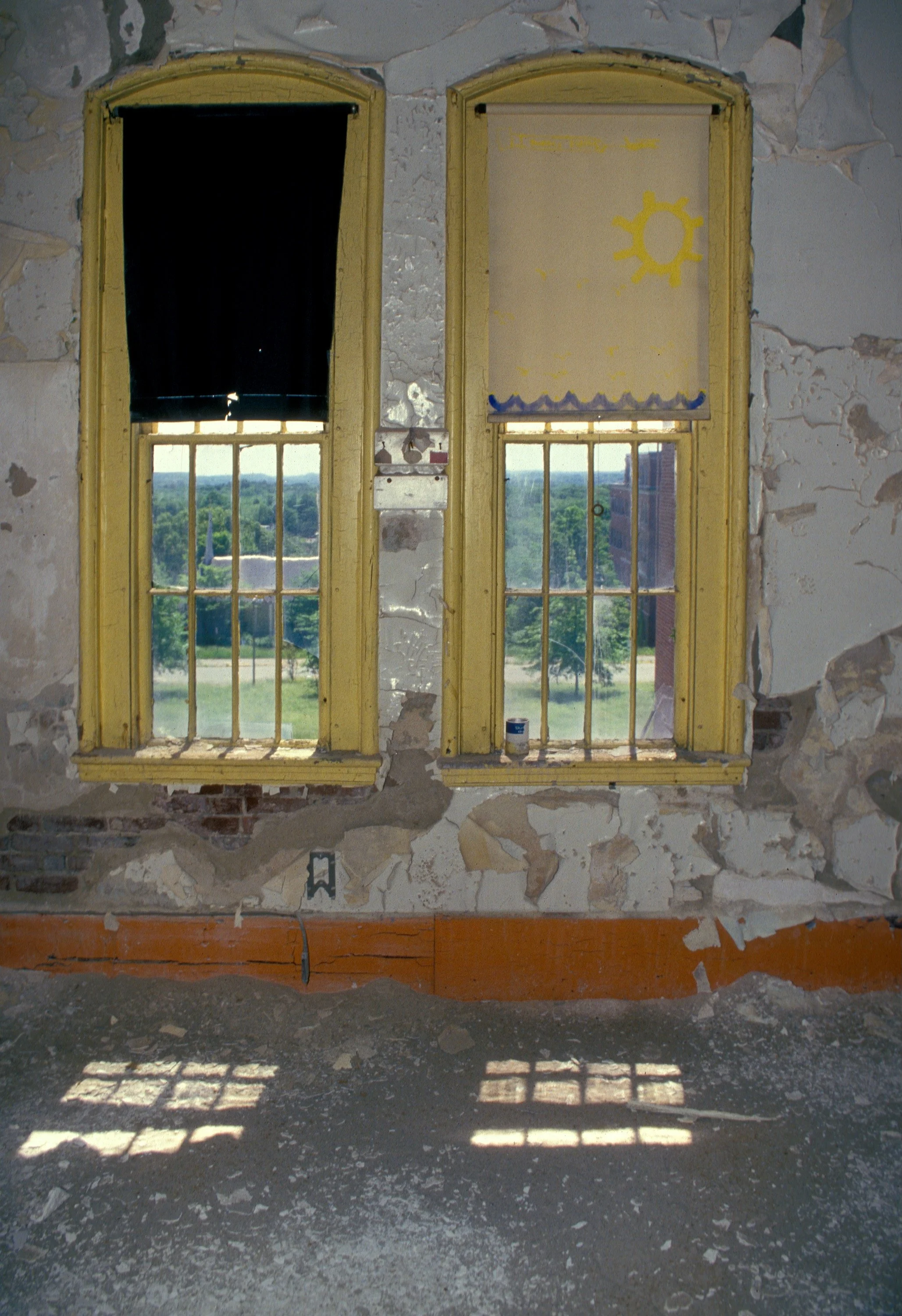 sunny window shade.jpeg