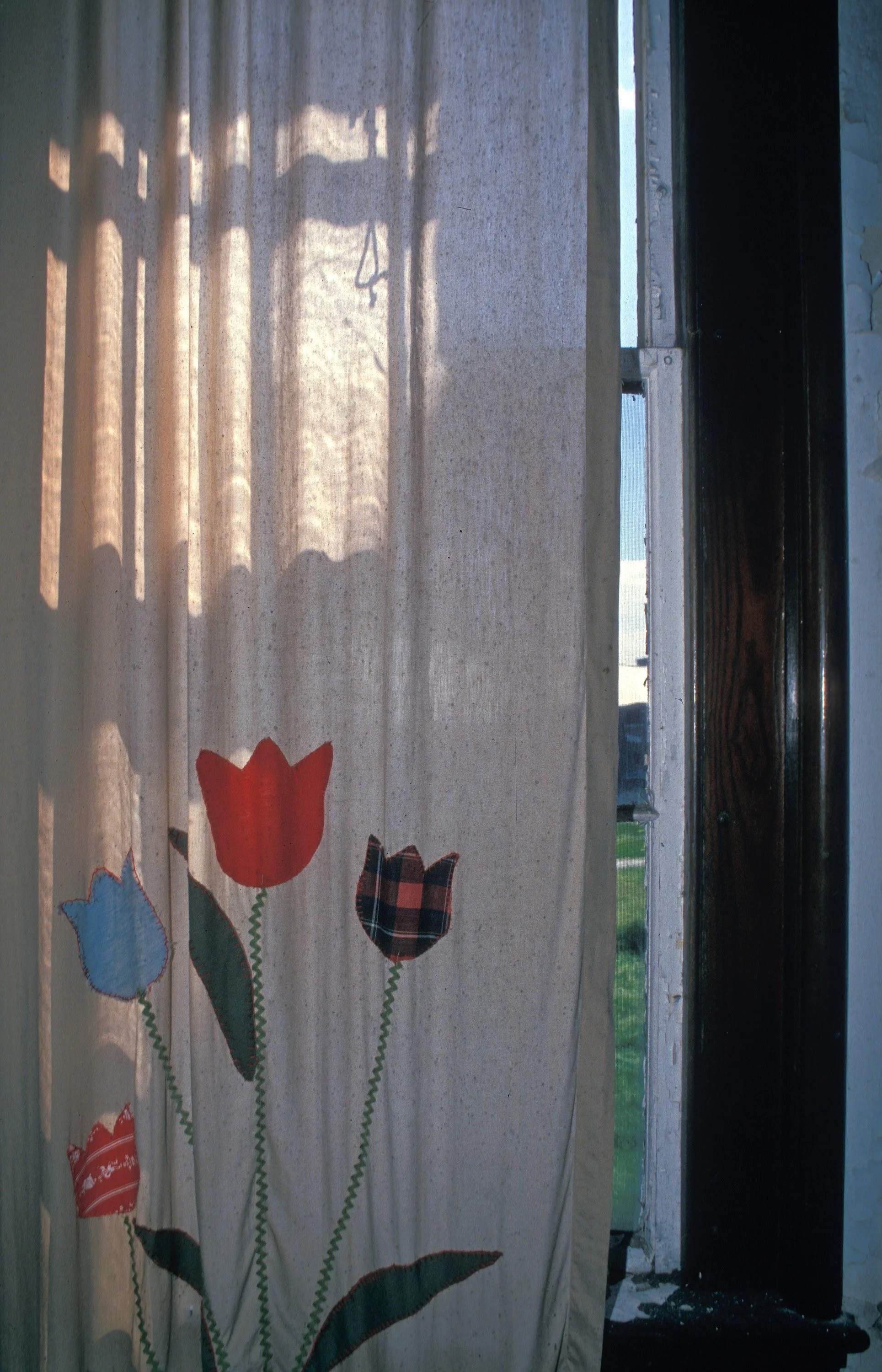 tulip curtains.jpeg