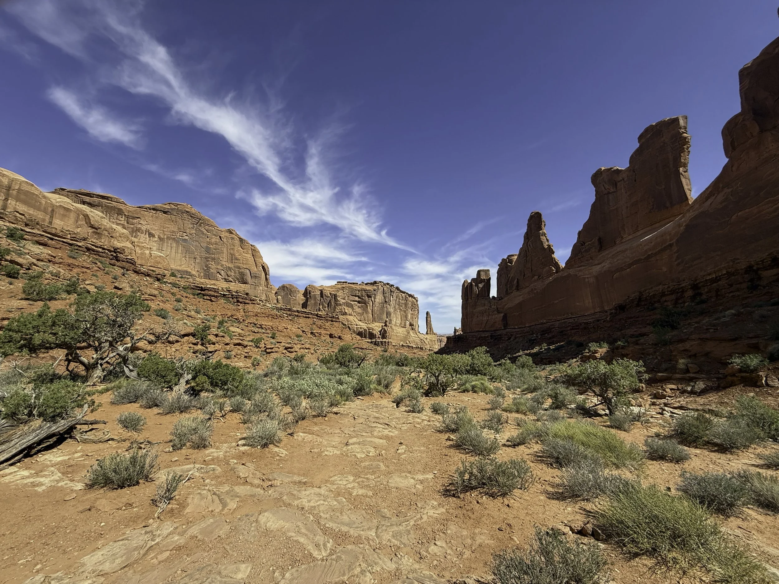 Arches Natl Park, Moab Utah