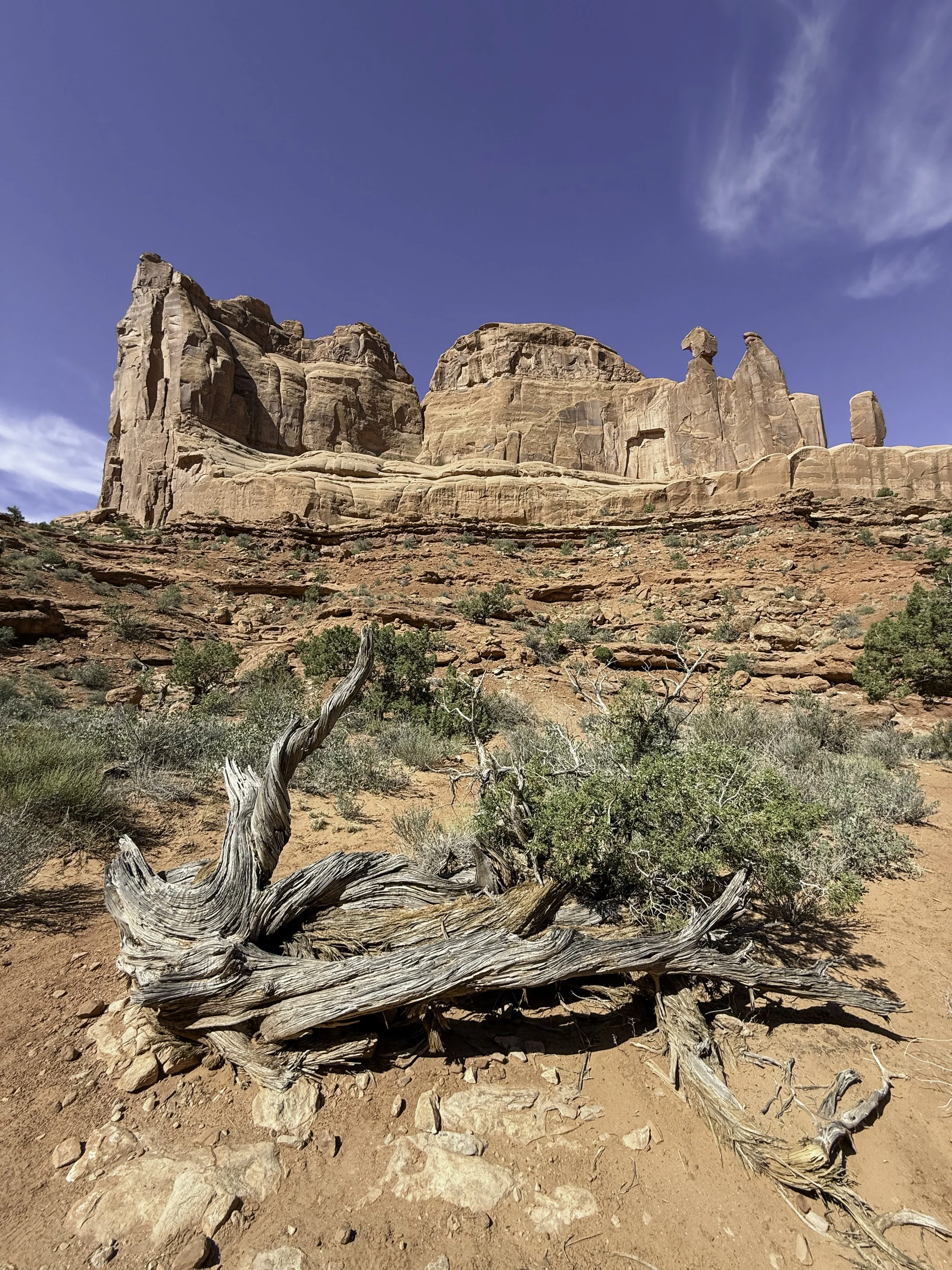 Arches Natl Park, Moab Utah