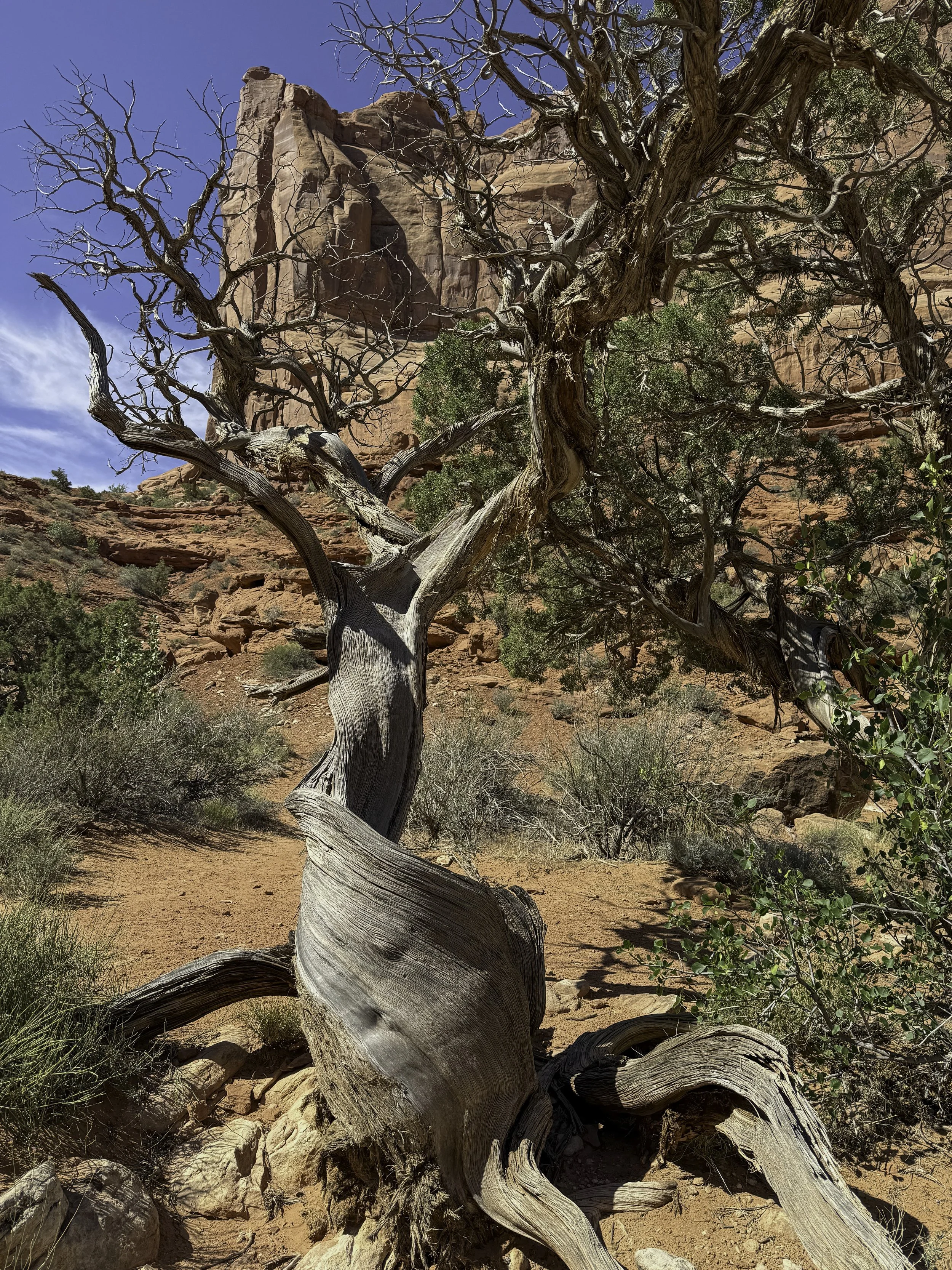 Arches Natl Park, Moab Utah