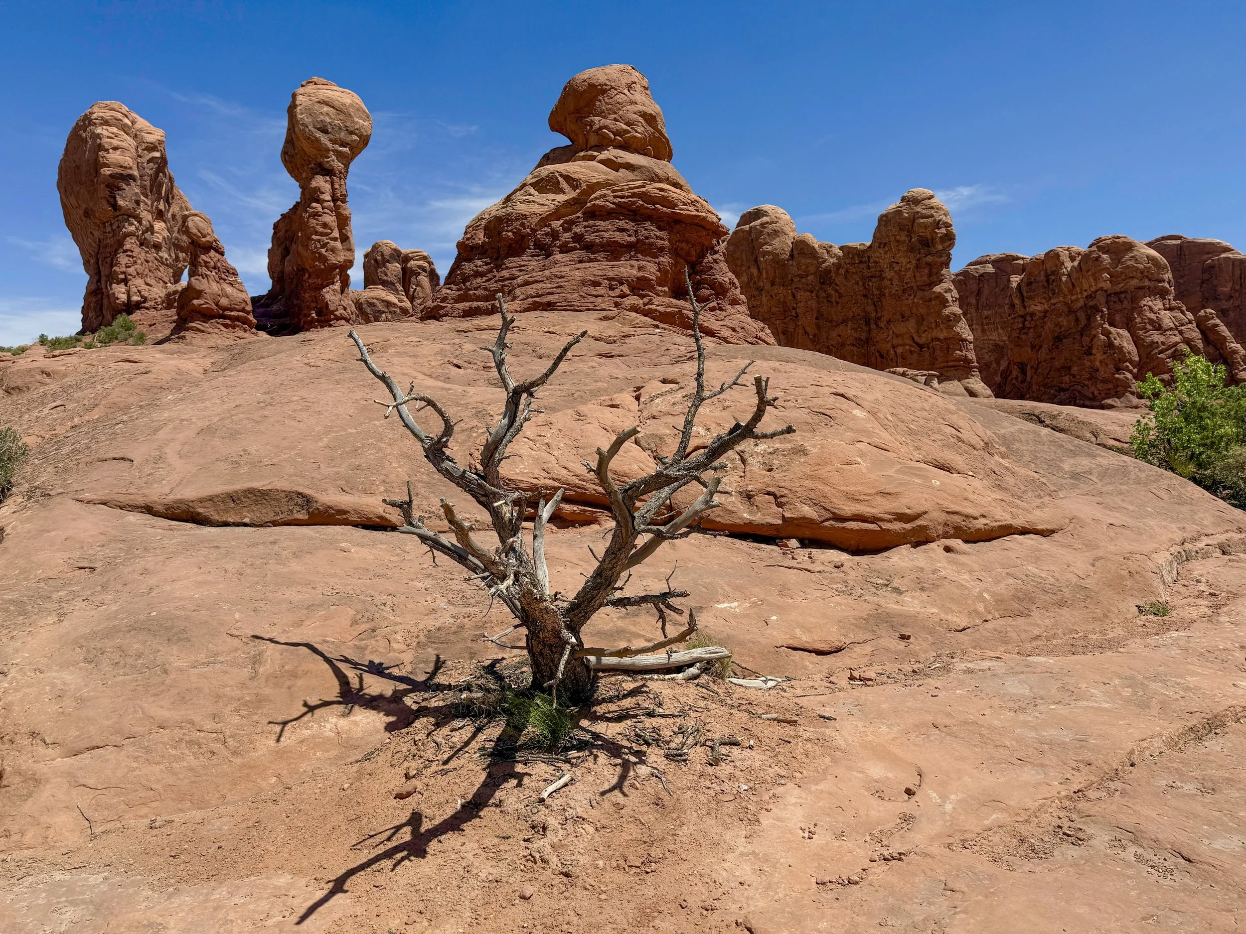 Arches Natl Park, Moab Utah
