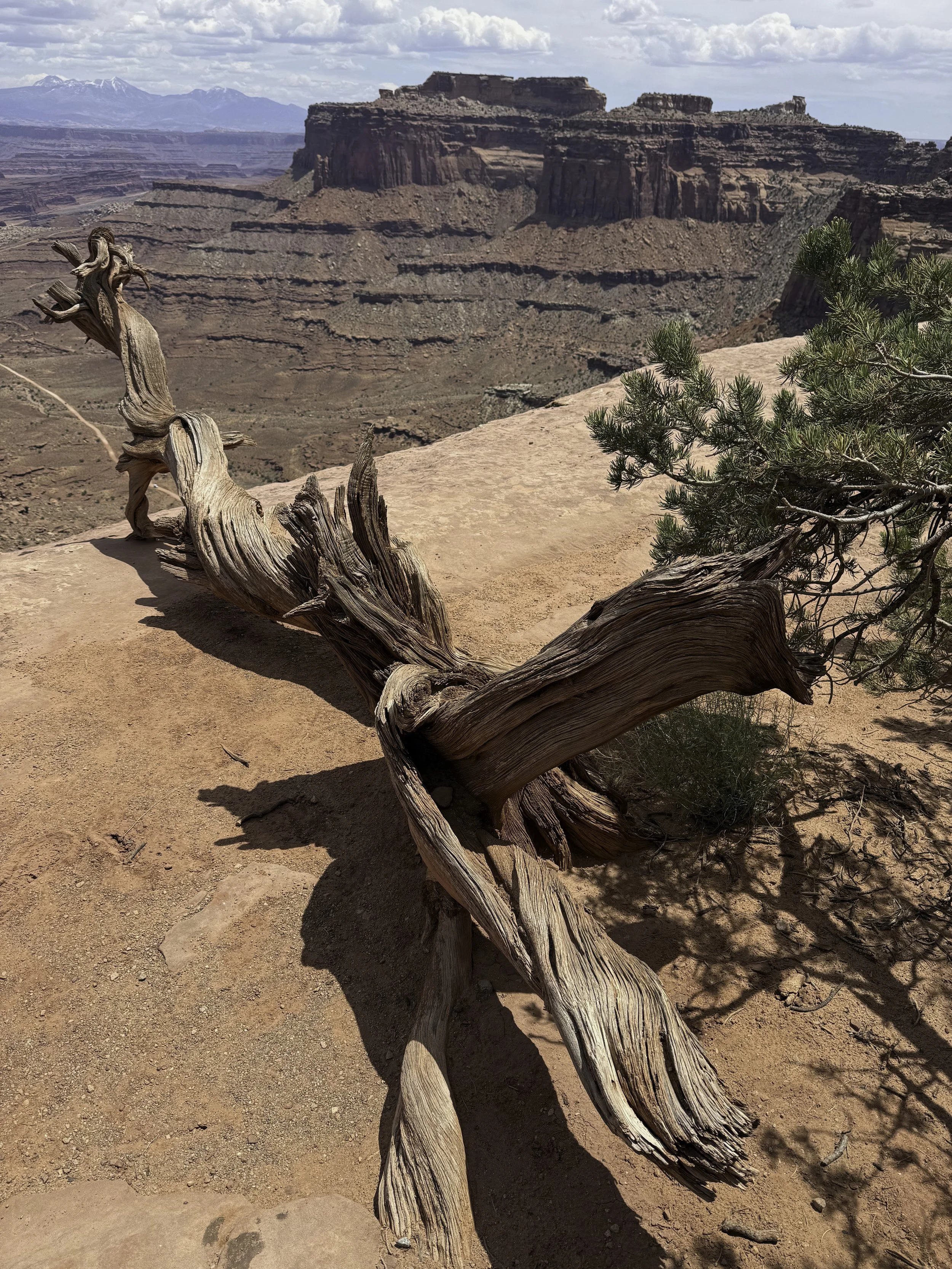 Dead Horse State Park, Utah