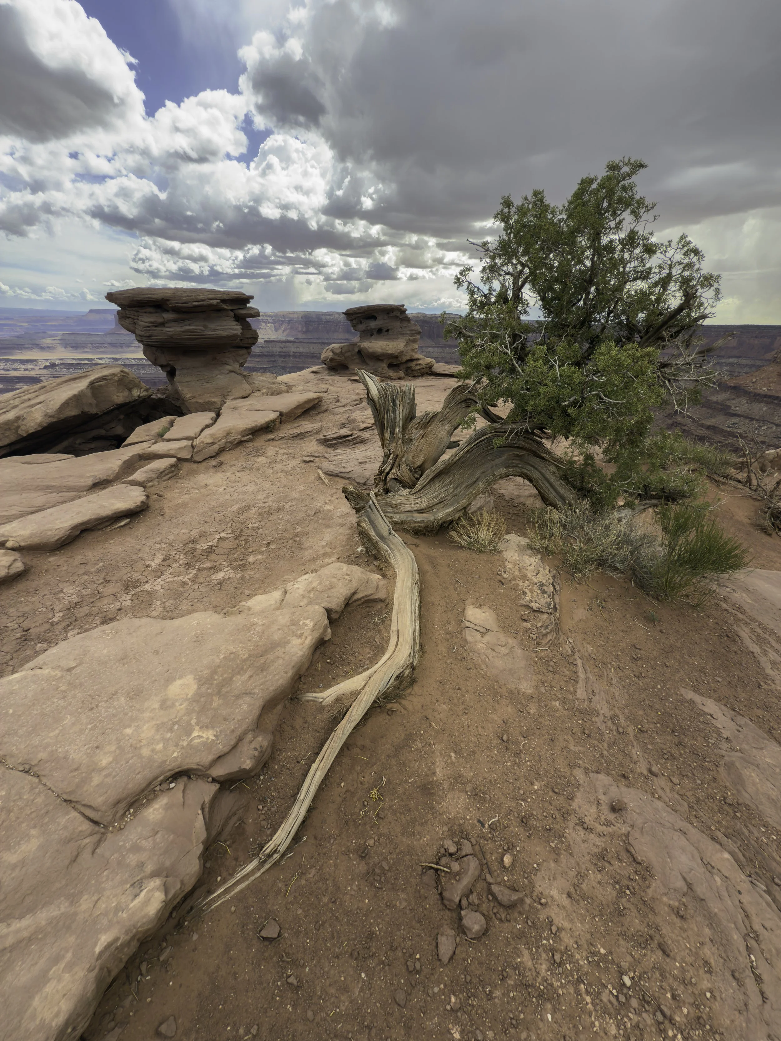 Dead Horse State Park, Utah