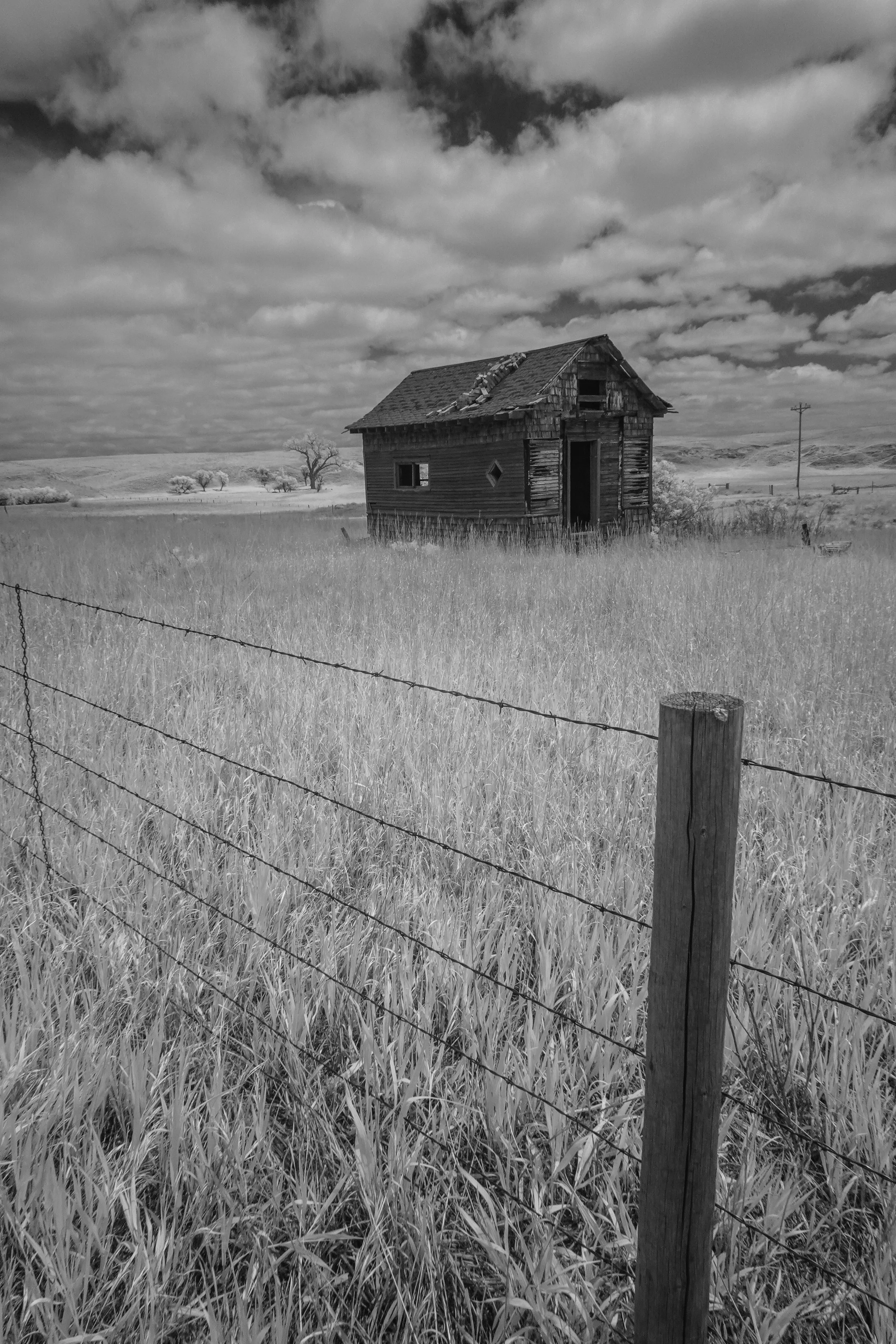 Bear Lake State Park, Utah