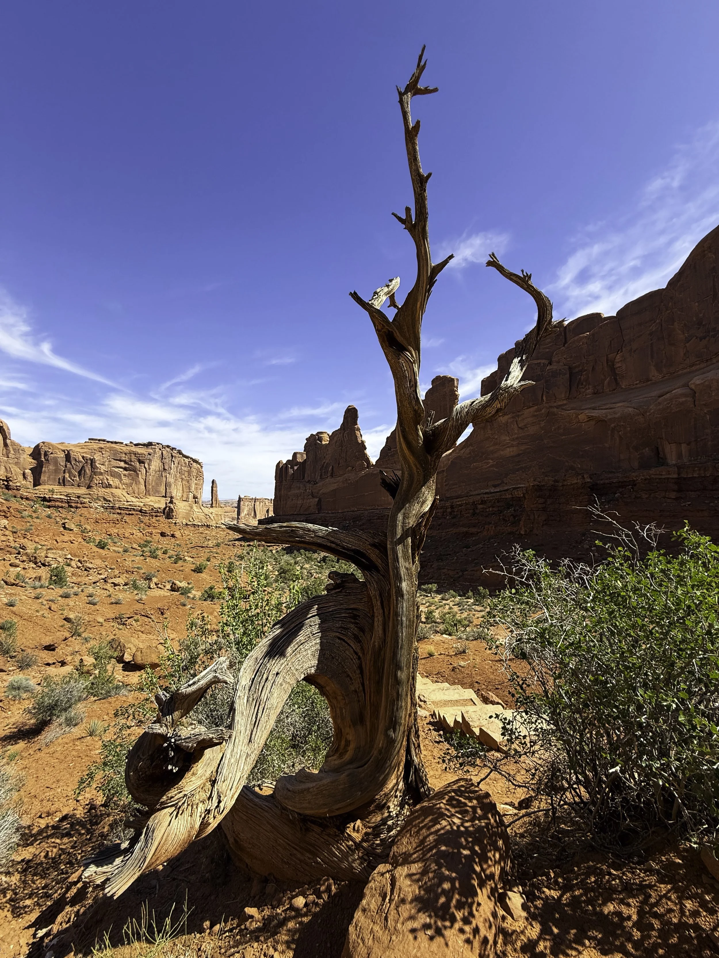 Arches Natl Park, Moab, Utah