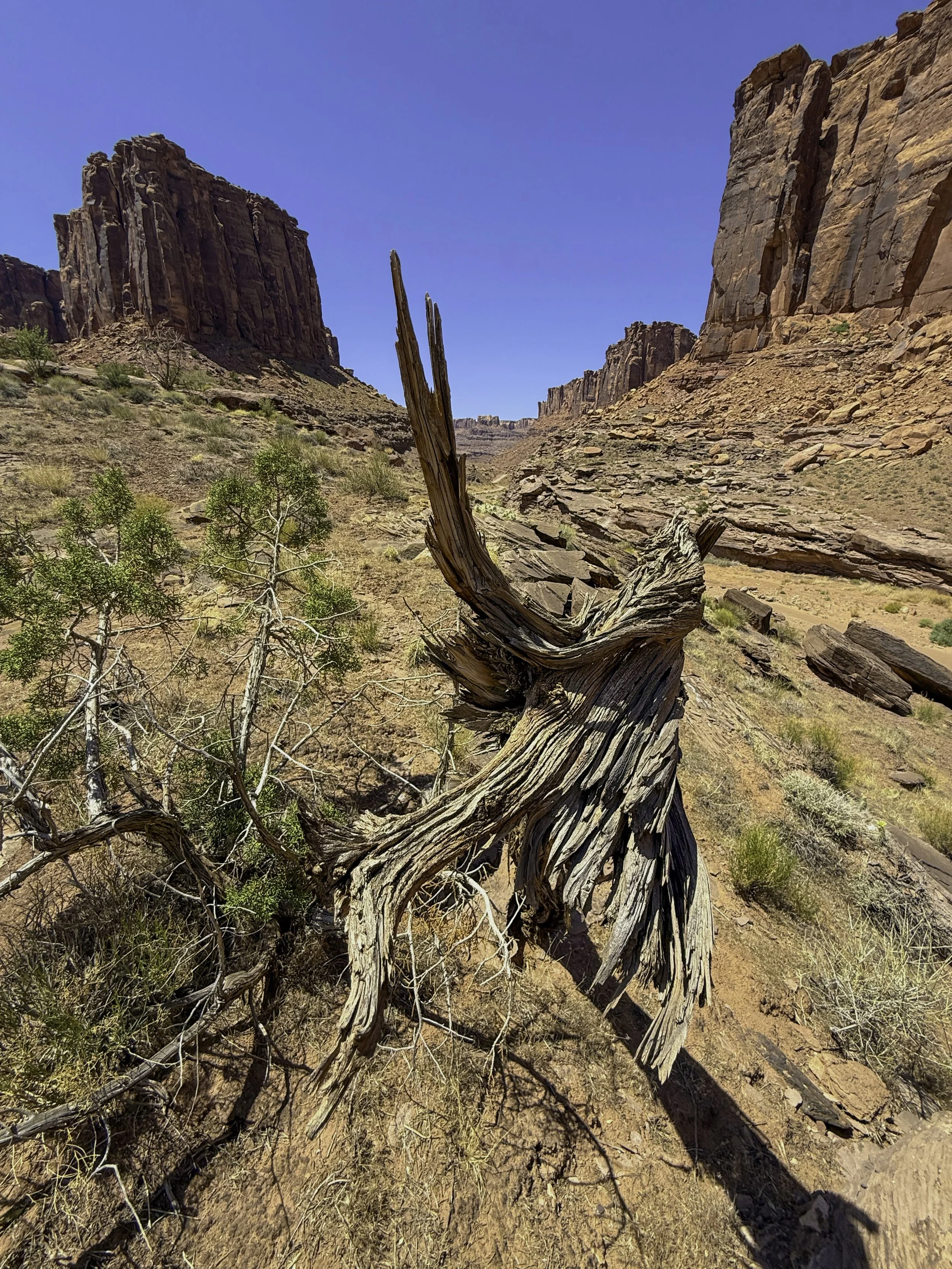 Arches Natl Park, Moab Utah