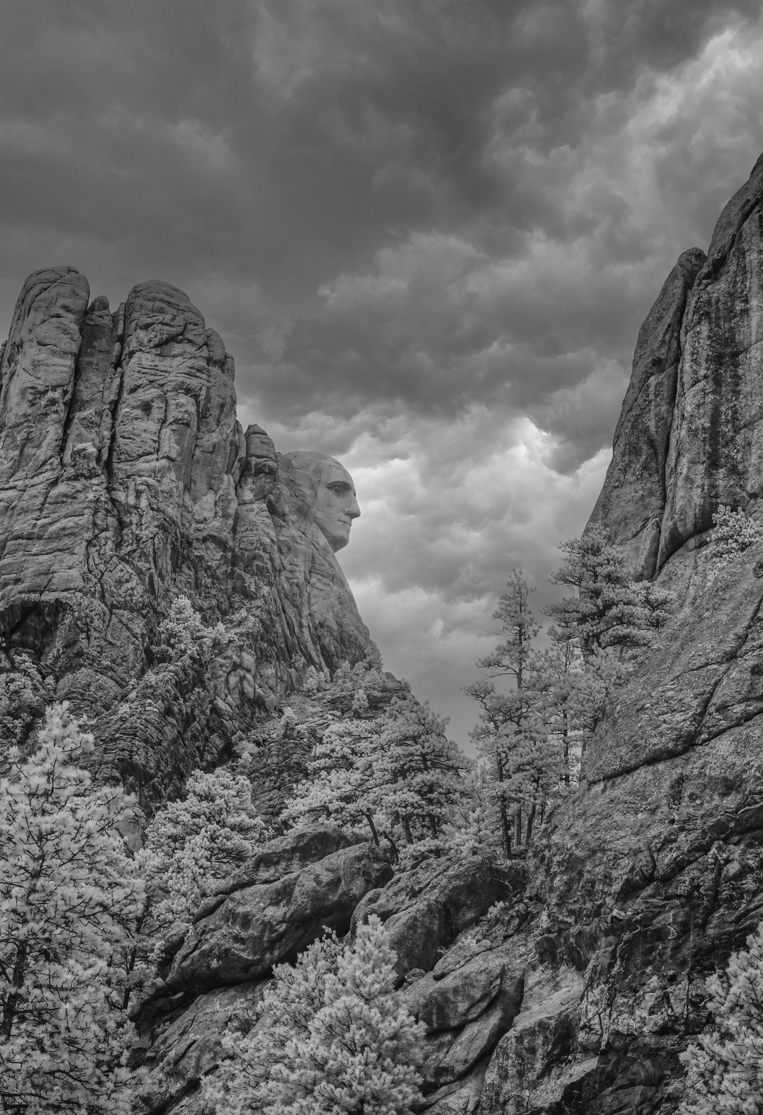 Rushmore's Washington.jpeg