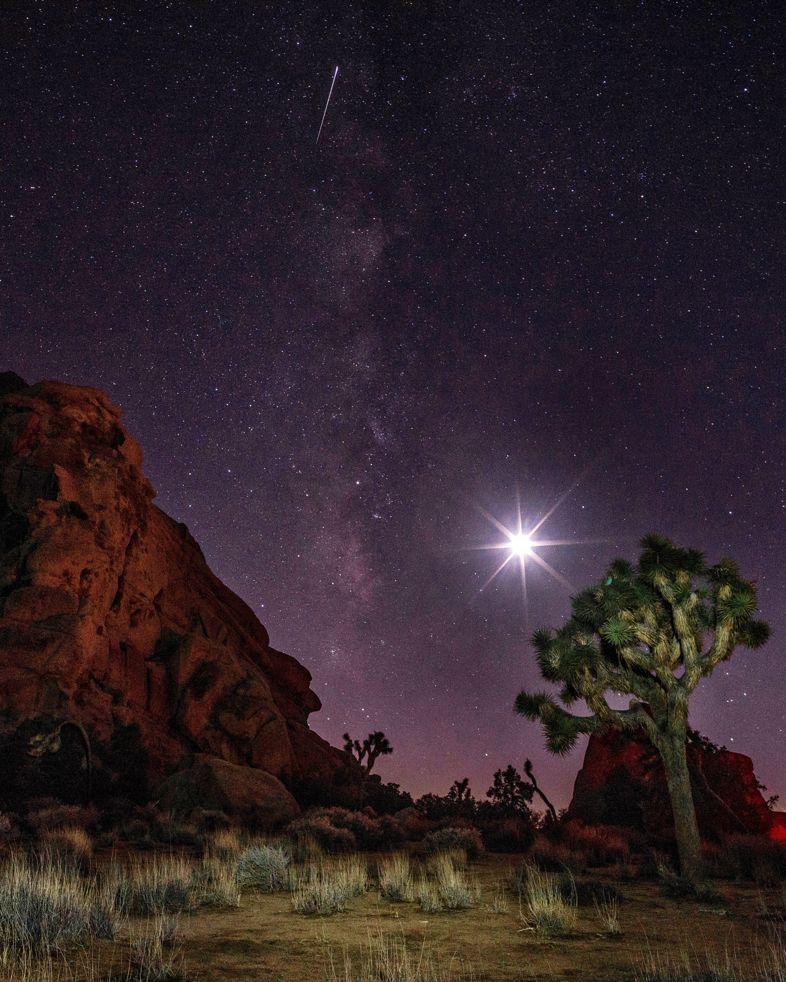 Joshua Tree National Park