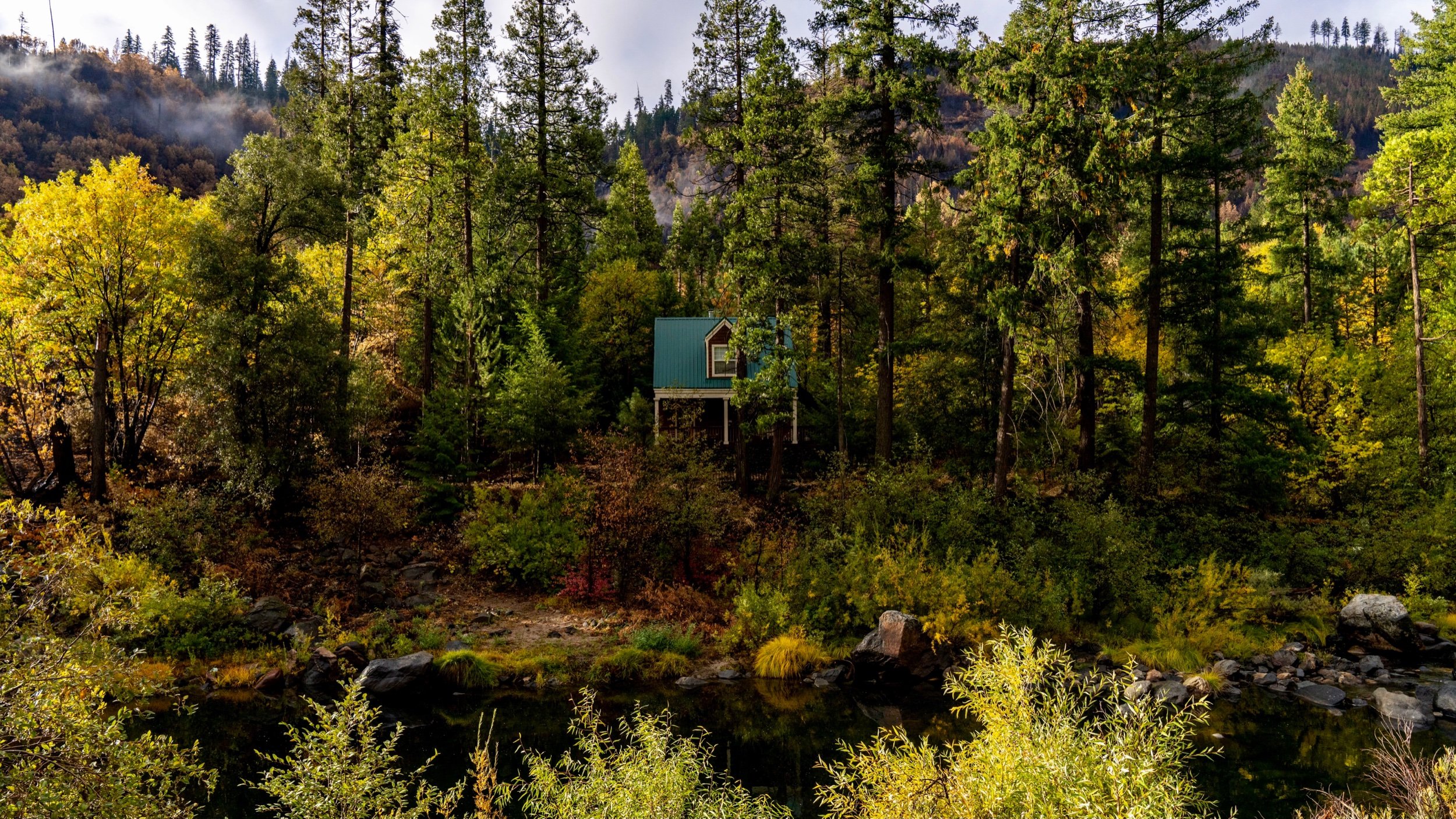 Fall color in the Eastern Sierra