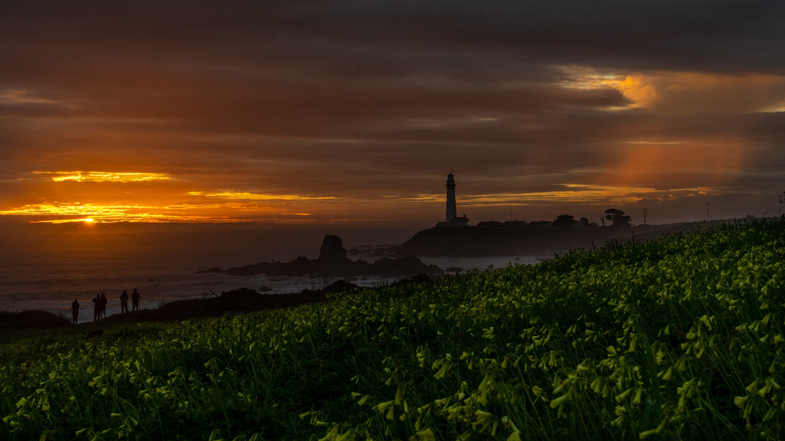 Pigeon Point Lighthouse