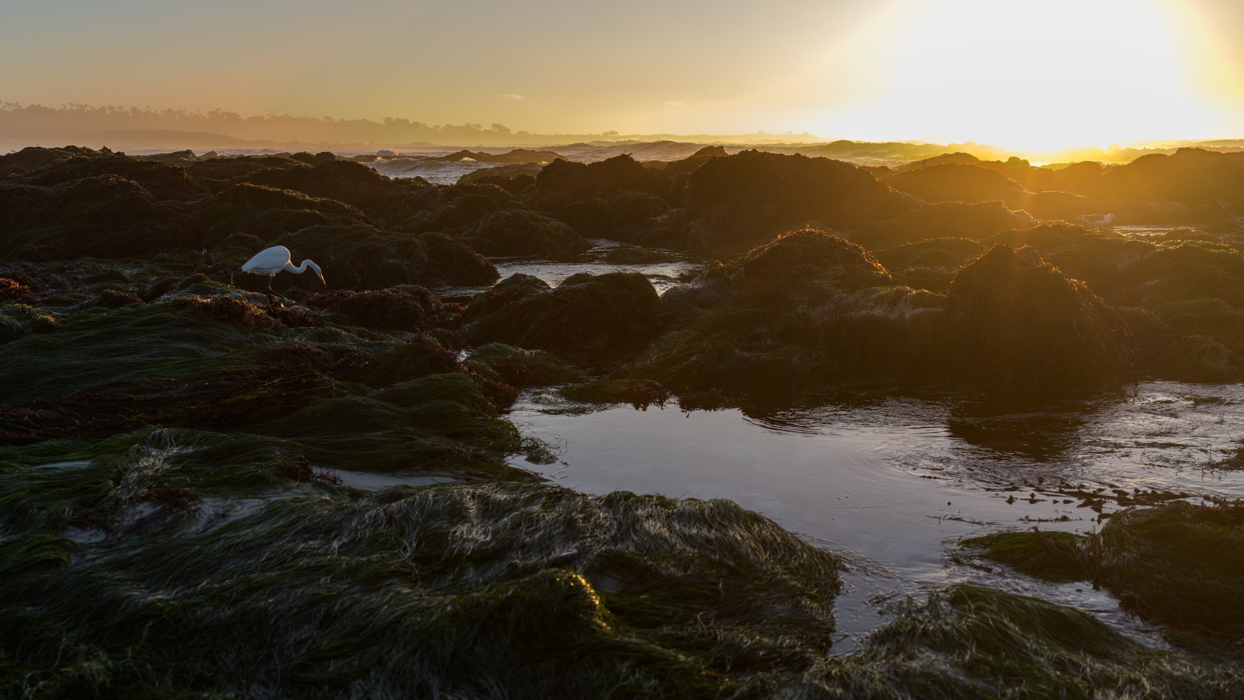 King Tide in Monterey, Calif.