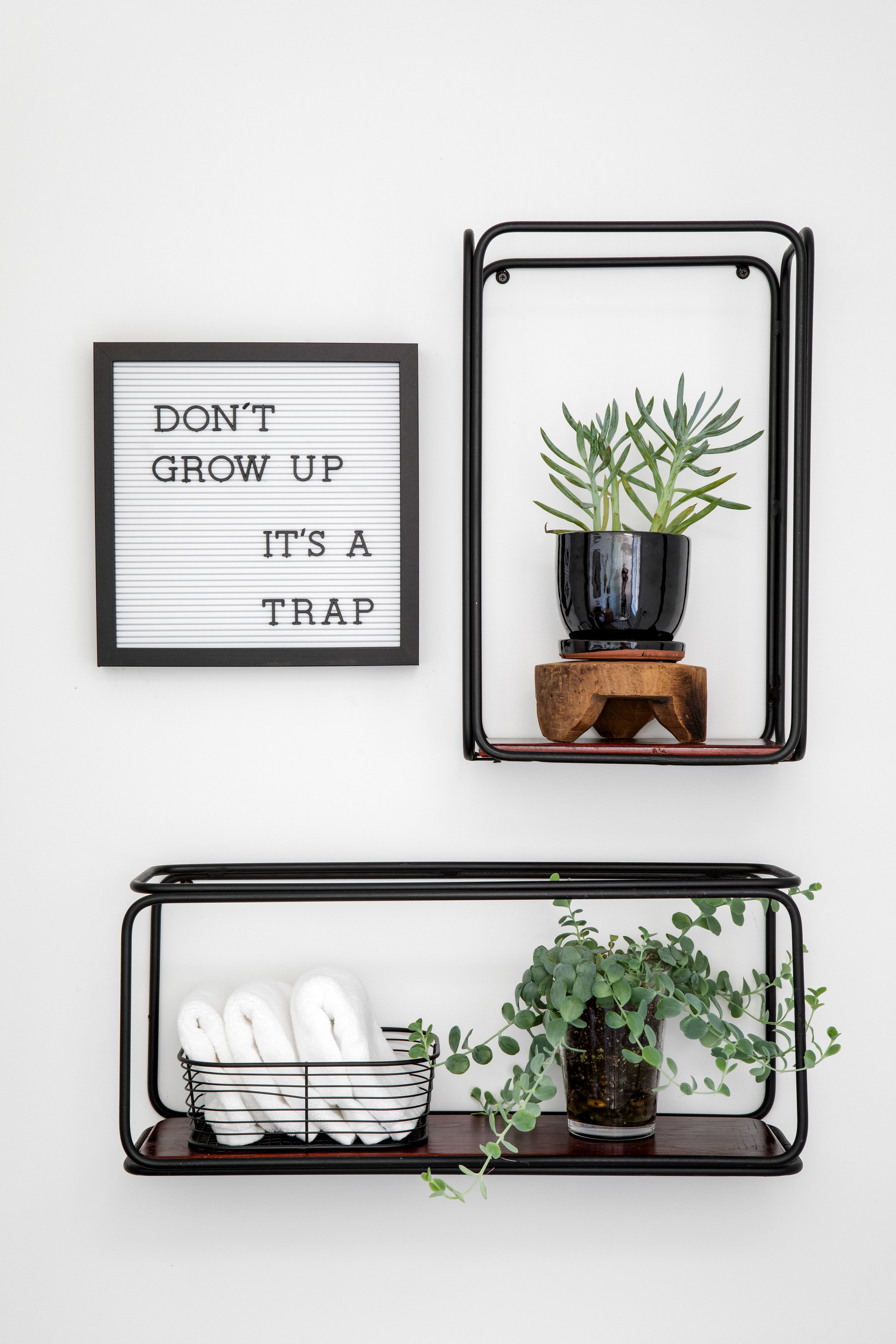 GEORGE SHELVES.jpeg