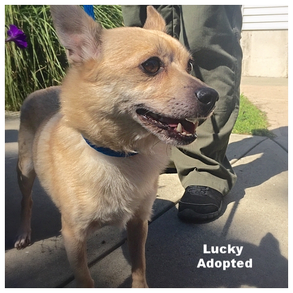 ADOPTED!