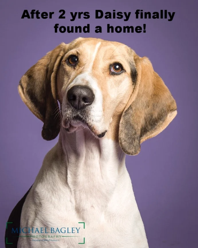 ADOPTED!
