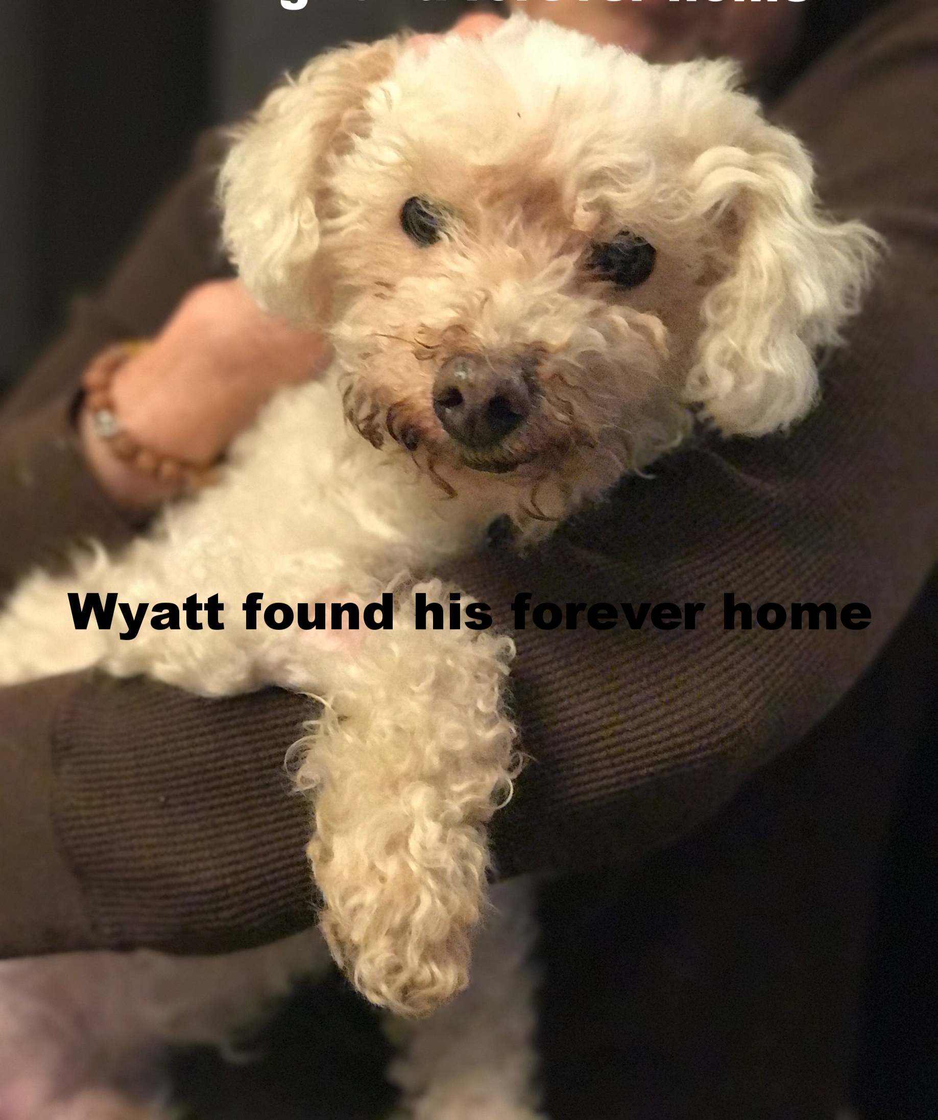 ADOPTED!