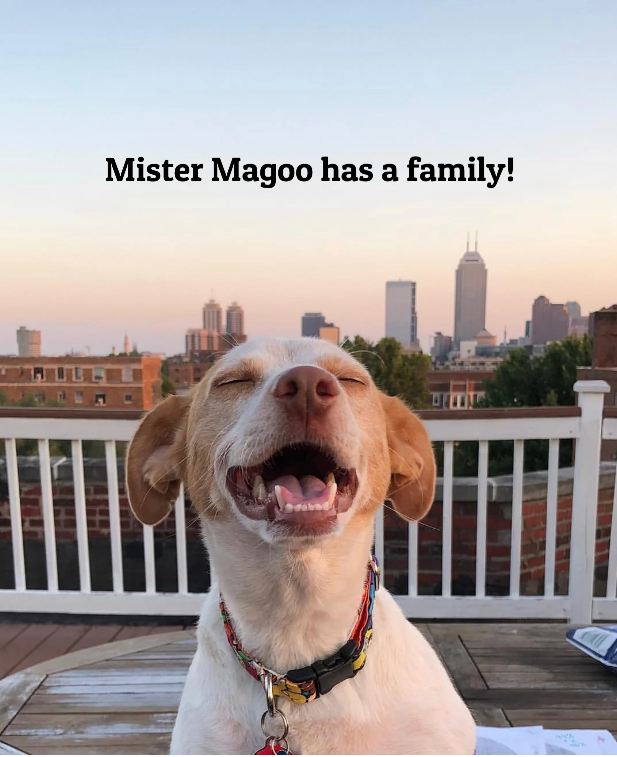 ADOPTED!