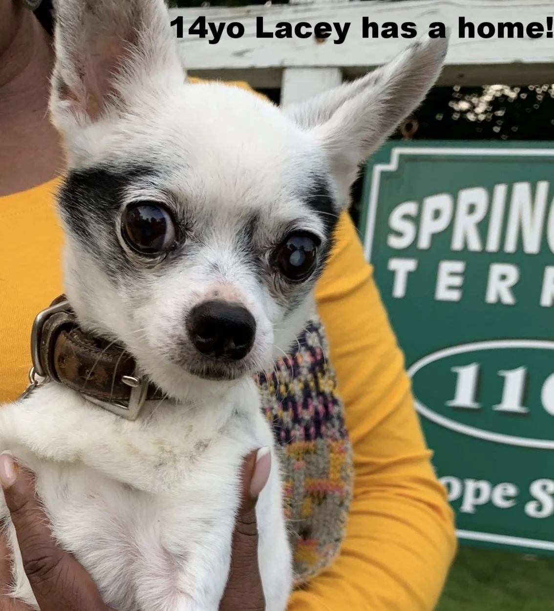 ADOPTED!