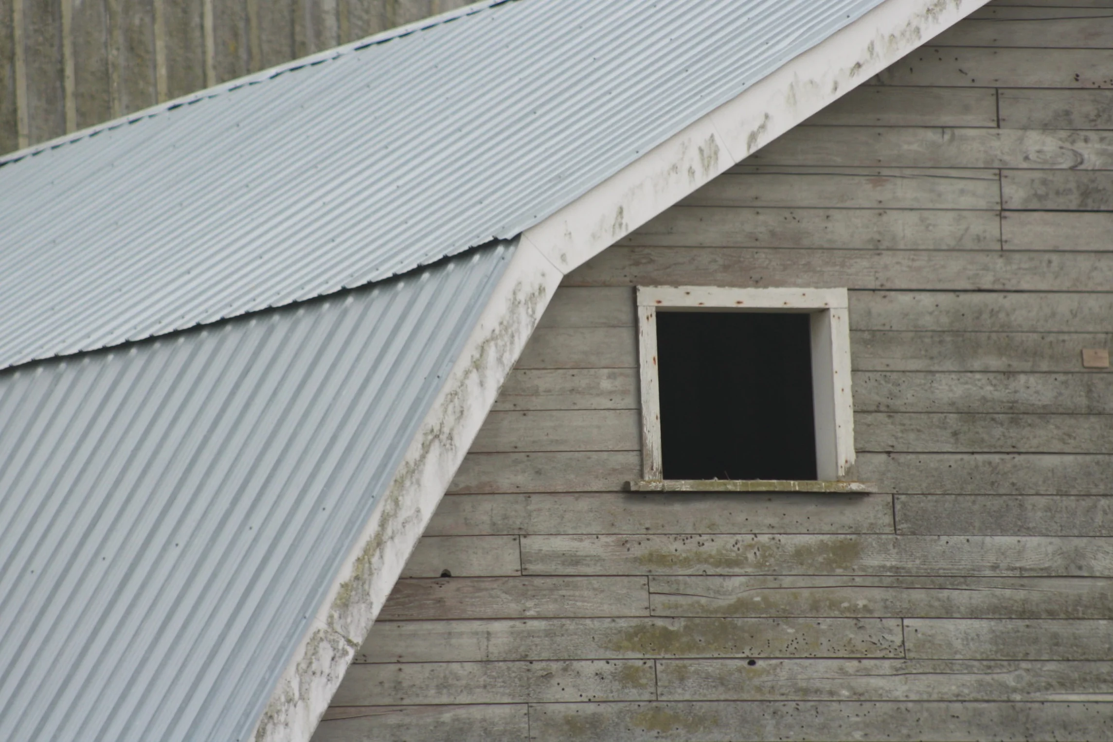 barn1.jpg